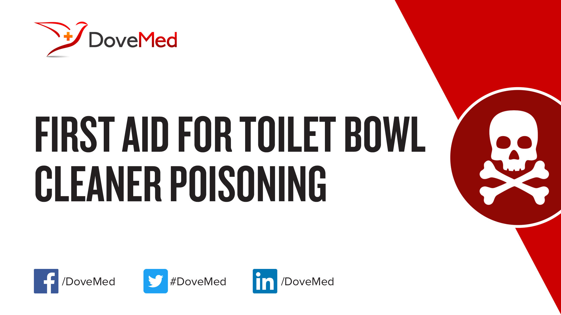 The Dangers Of Using Toilet Bowl Cleaners