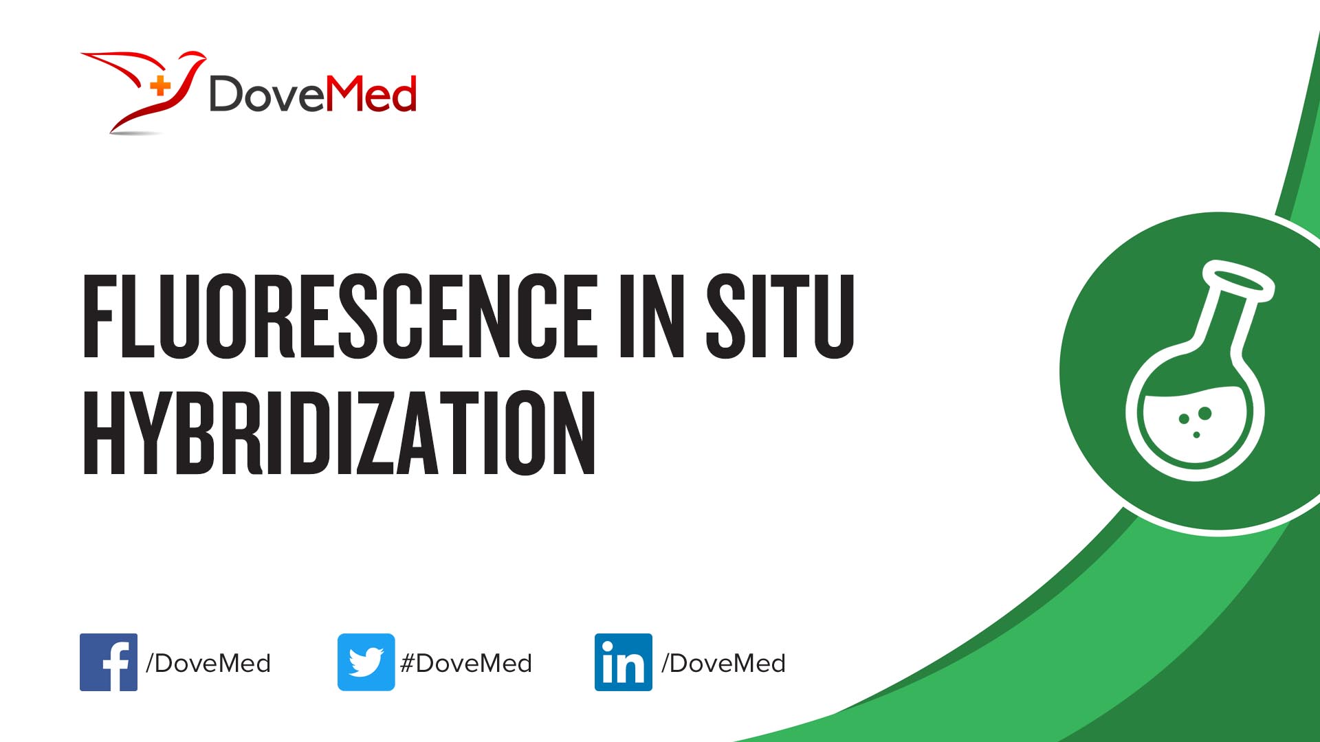 Fluorescence In Situ Hybridization