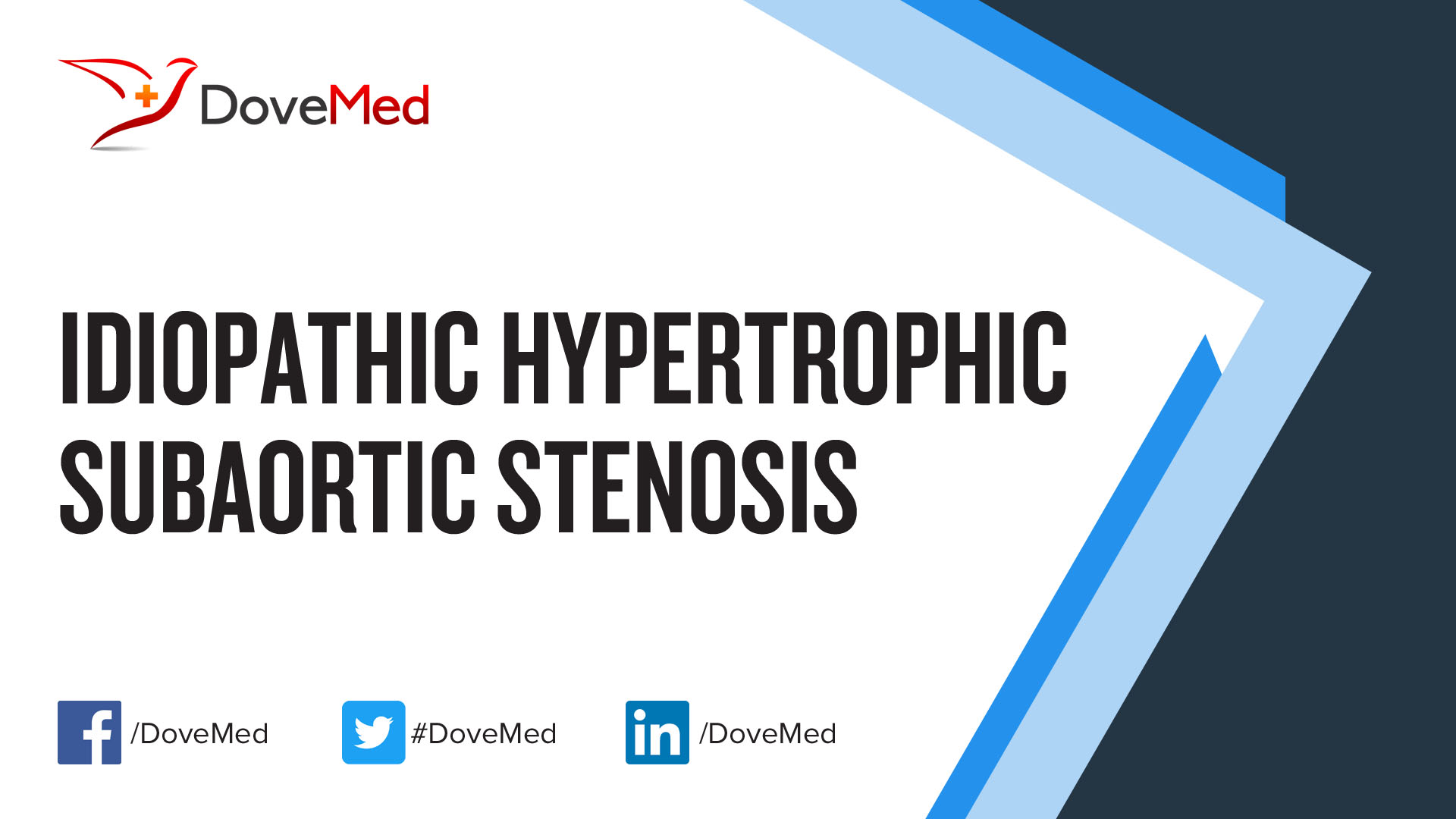 Idiopathic Hypertrophic Subaortic Stenosis