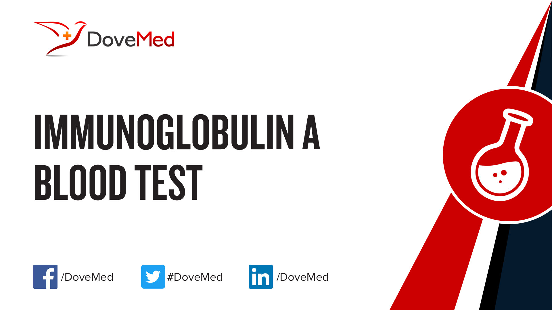 Immunoglobulin A IgA Blood Test