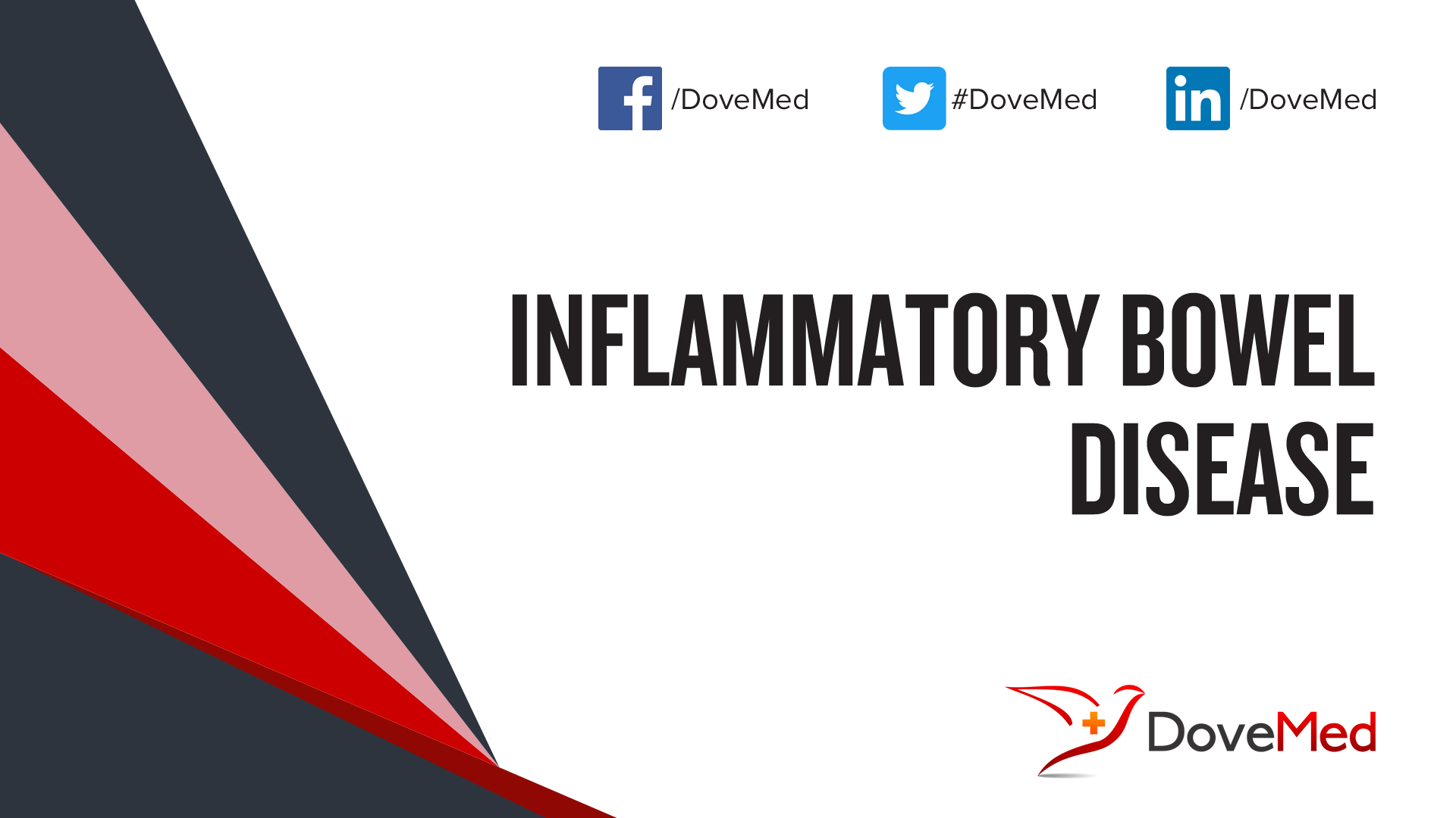 inflammatory-bowel-disease-ibd