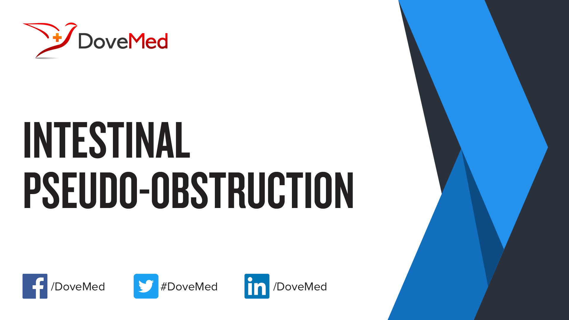 what-is-an-intestinal-obstruction