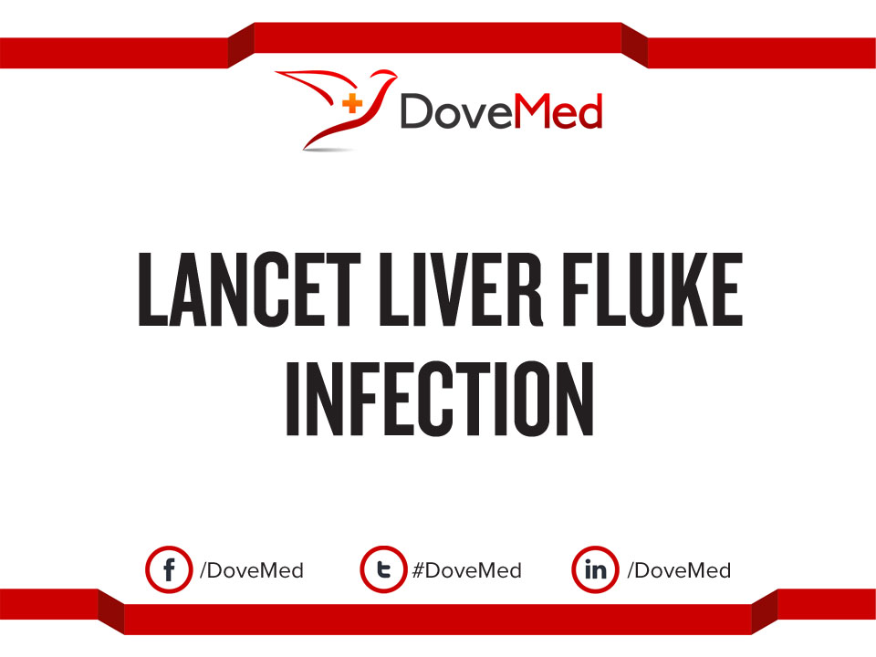 Lancet Liver Fluke Infection
