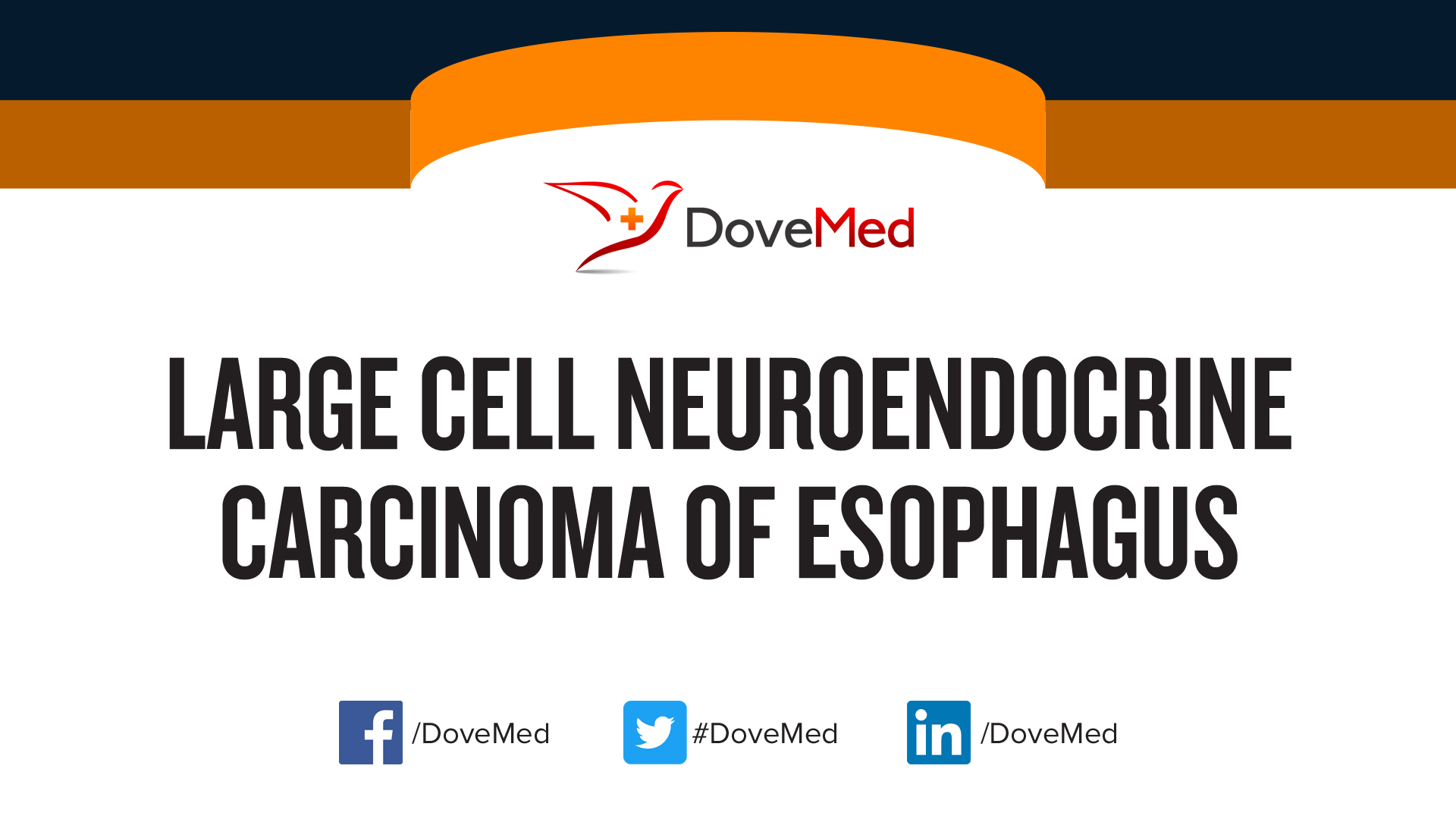 Large Cell Neuroendocrine Carcinoma of Esophagus