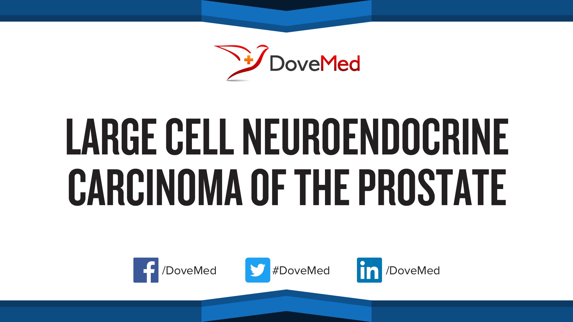 Large Cell Neuroendocrine Carcinoma of the Prostate