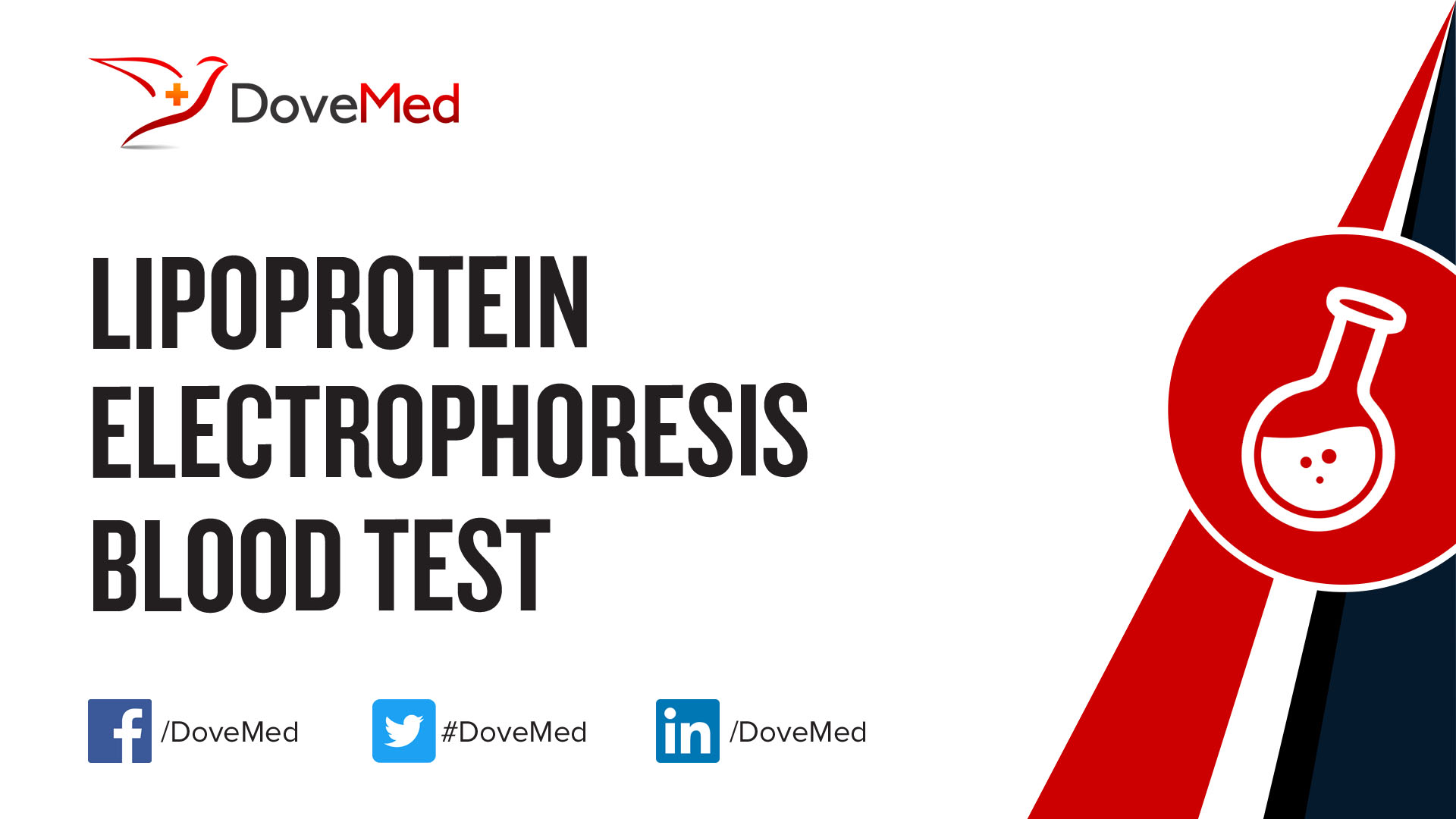 Lipoprotein Electrophoresis Blood Test