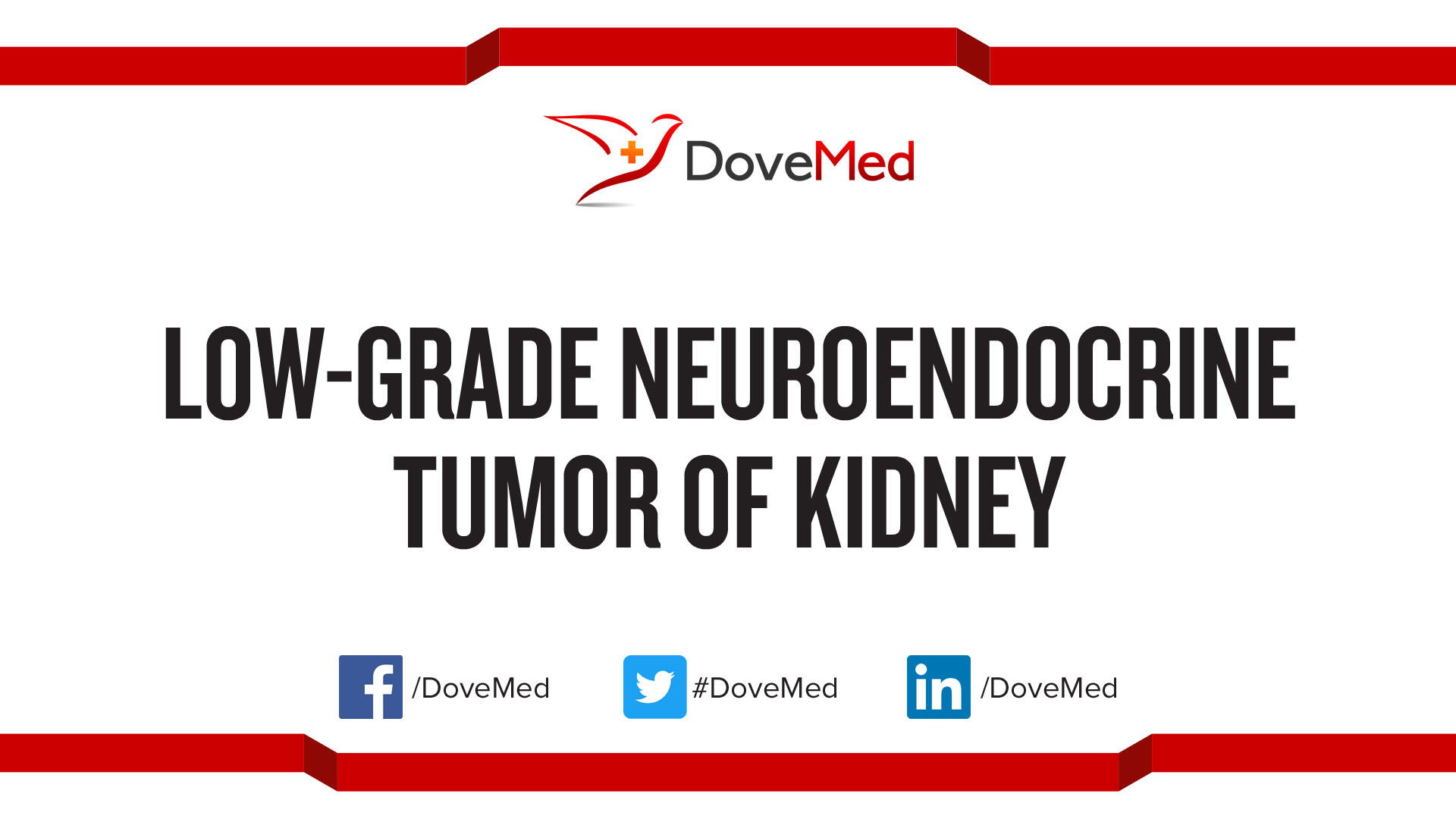LowGrade Neuroendocrine Tumor of Kidney