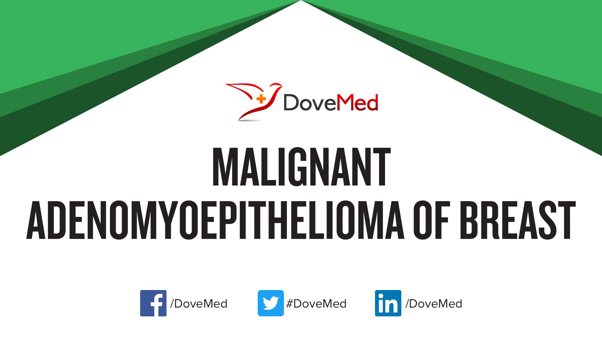 Malignant Adenomyoepithelioma of Breast