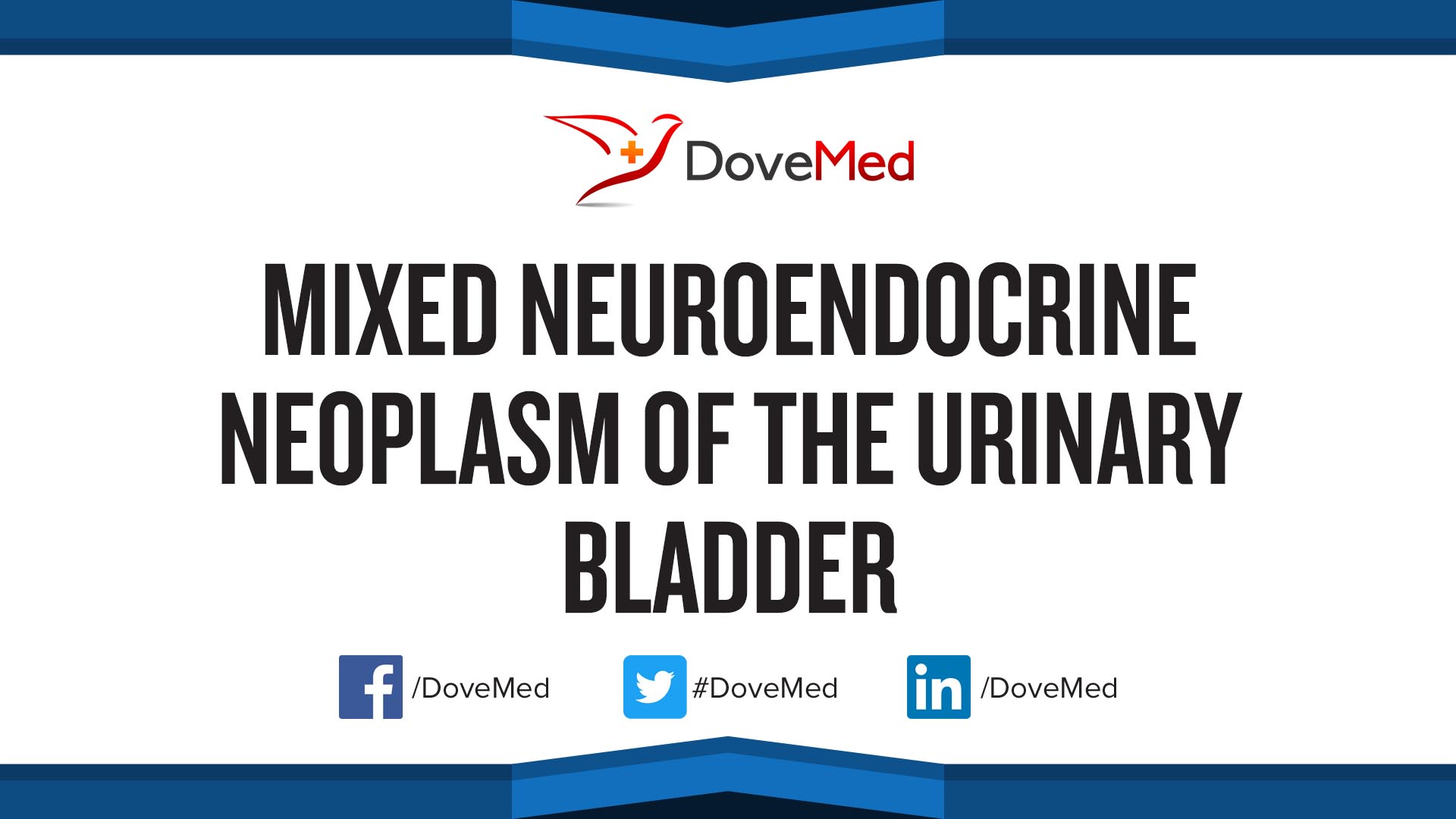 Mixed Neuroendocrine Neoplasm of the Urinary Bladder