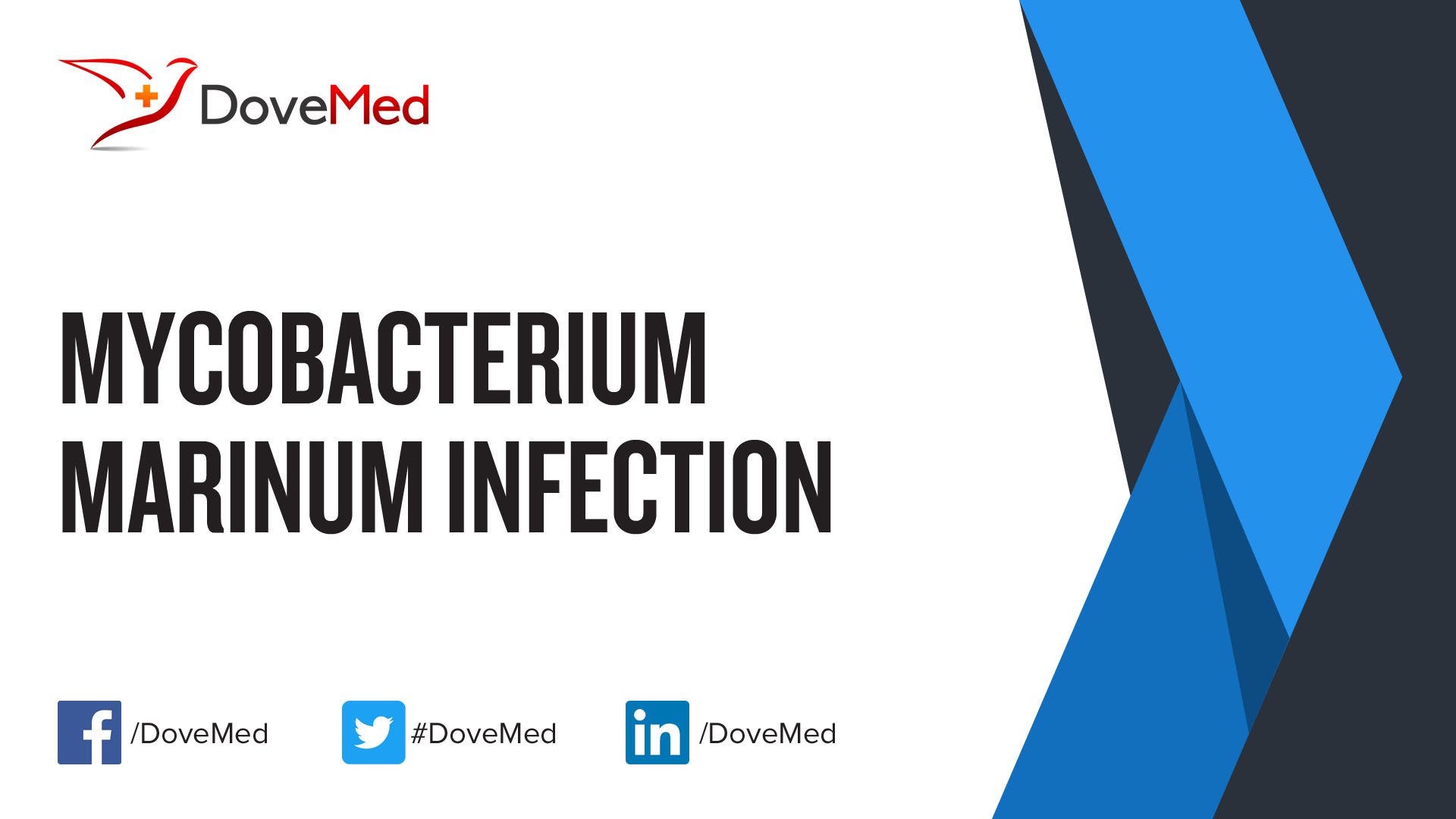Mycobacterium Marinum Infection