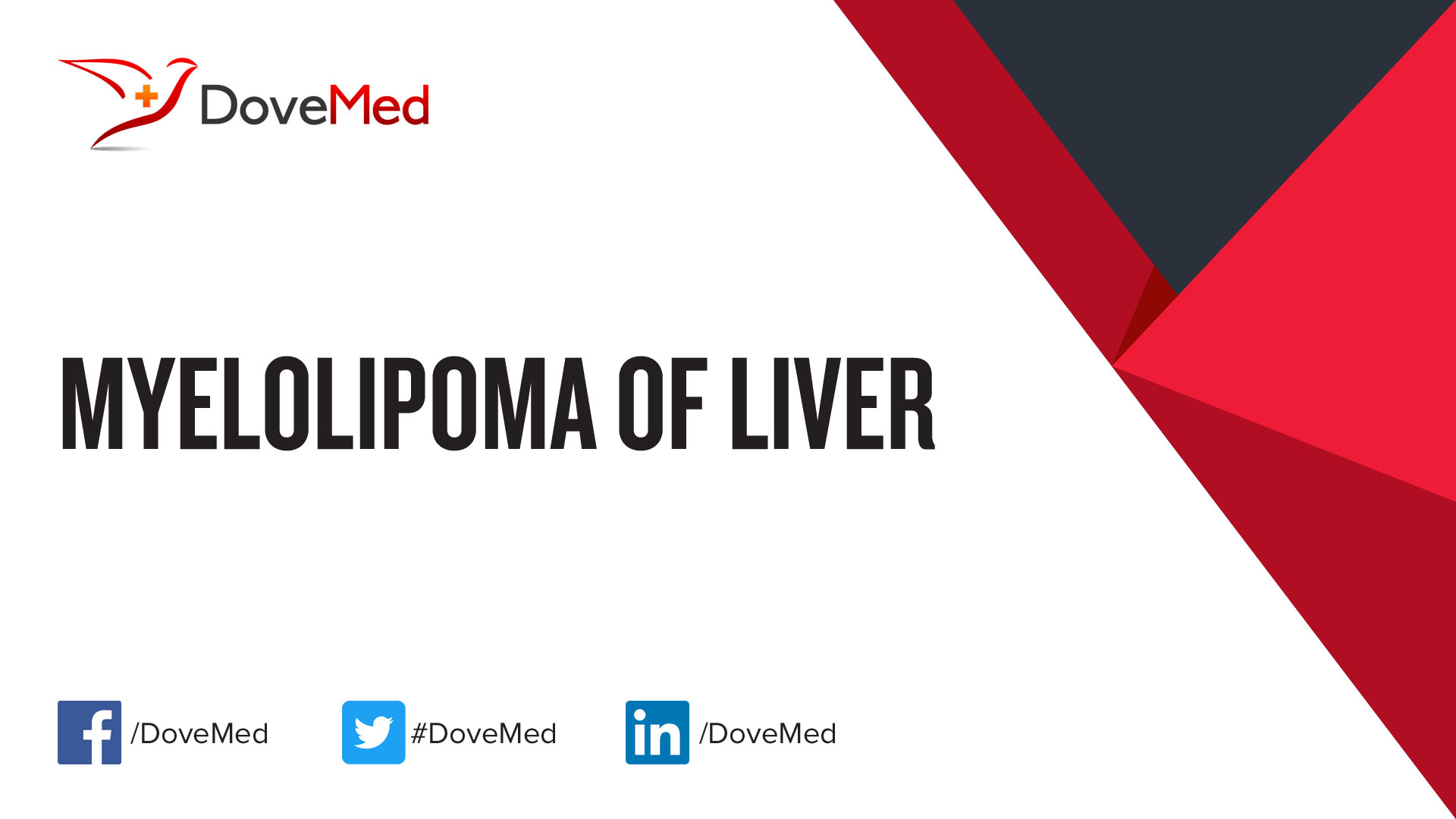 myelolipoma-of-liver