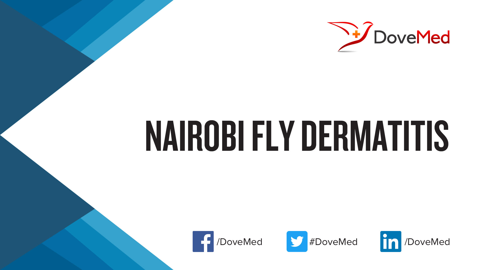 Nairobi Fly Dermatitis
