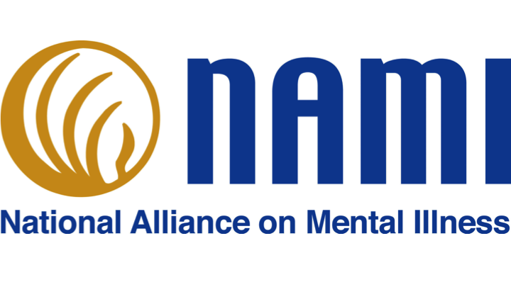 WHAT IS NATIONAL ALLIANCE ON MENTAL HEALTH visual data 2