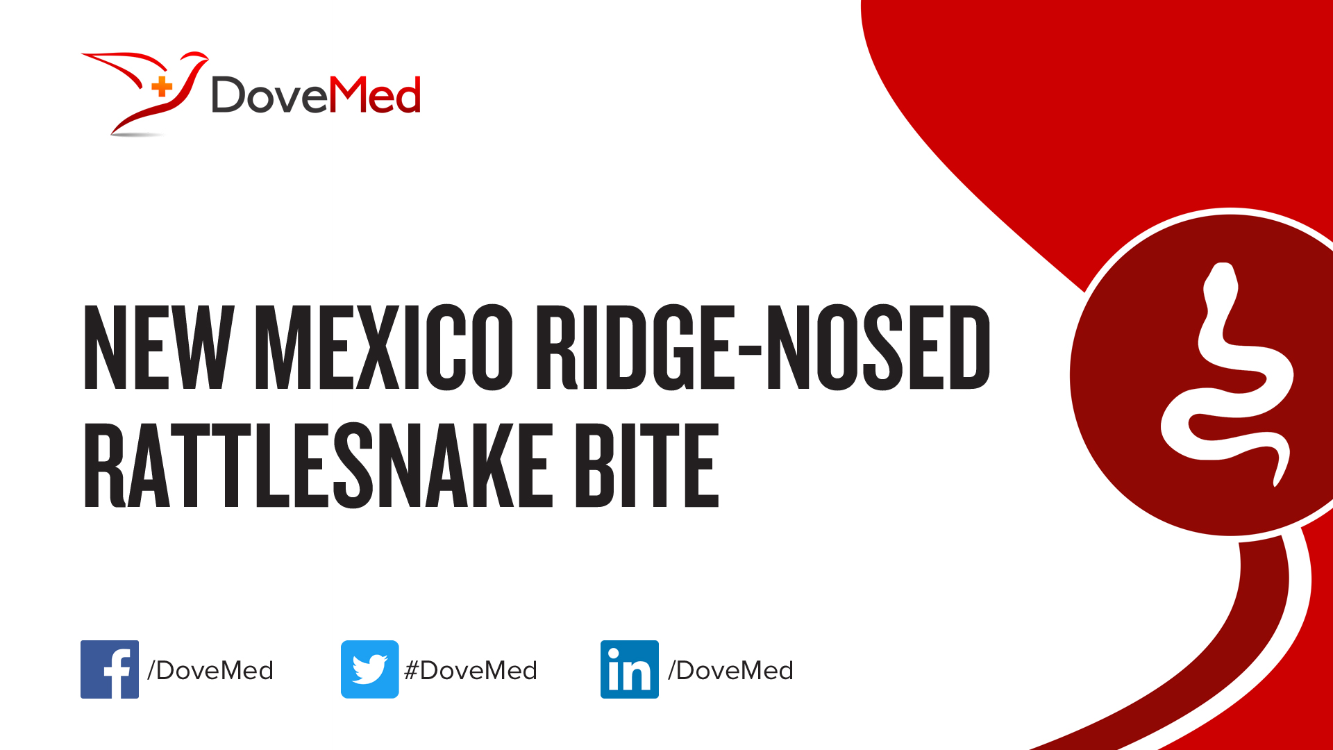 New Mexico RidgeNosed Rattlesnake Bite