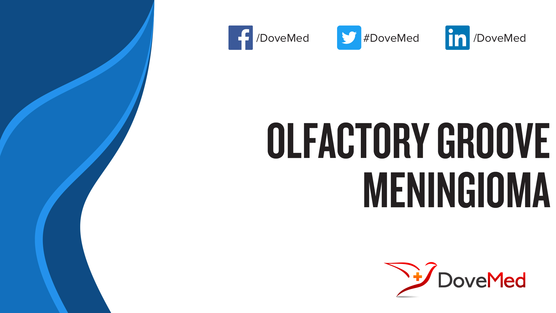 Olfactory Groove Meningioma