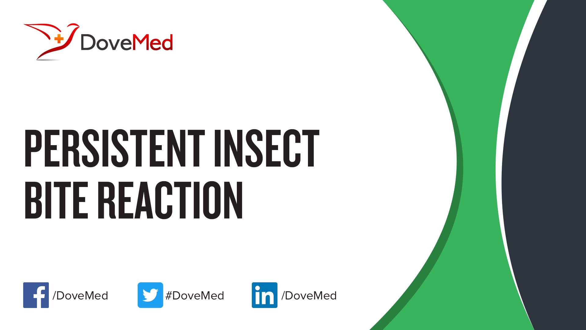 persistent-insect-bite-reaction