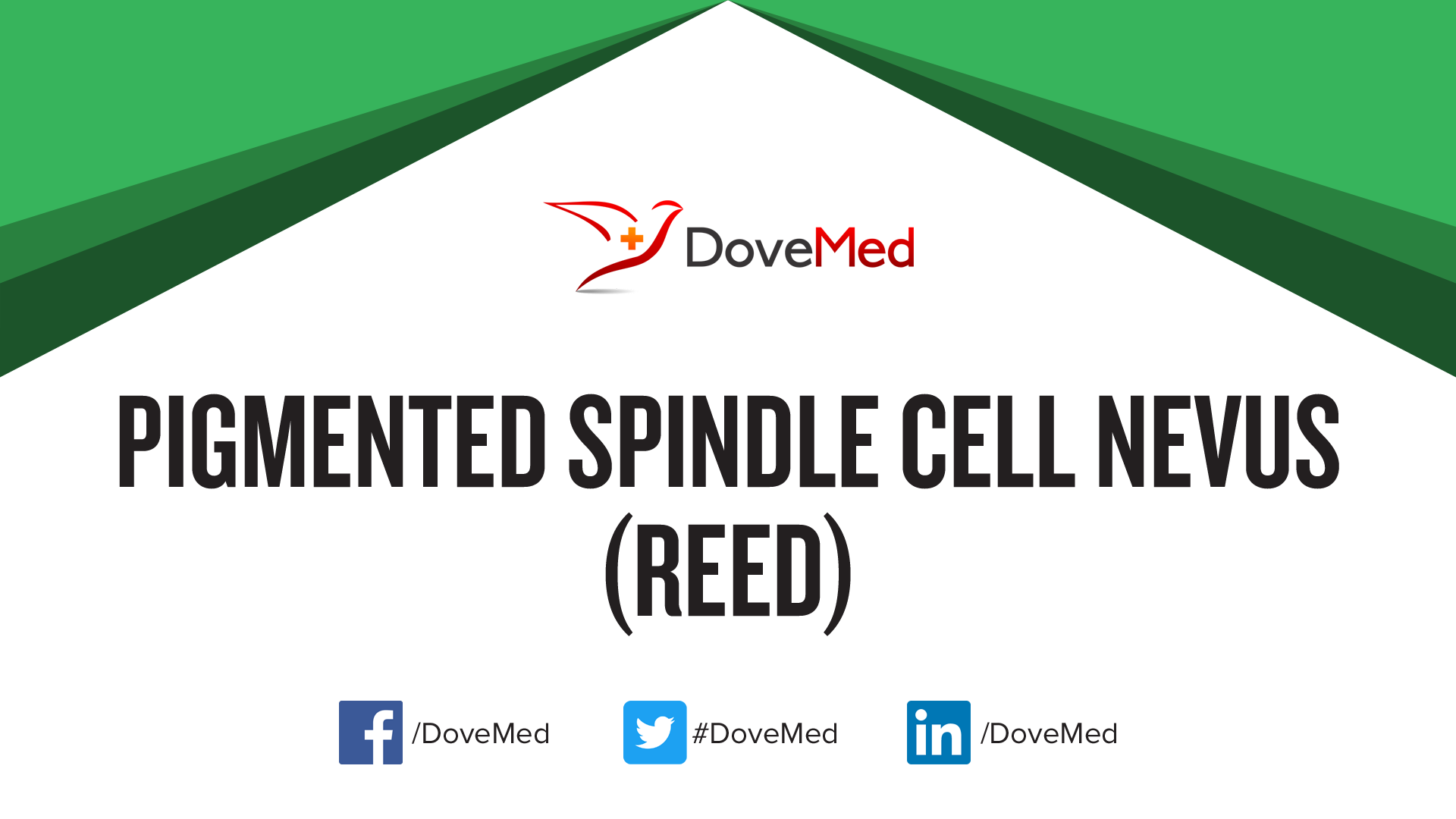 Pigmented Spindle Cell Nevus (Reed)