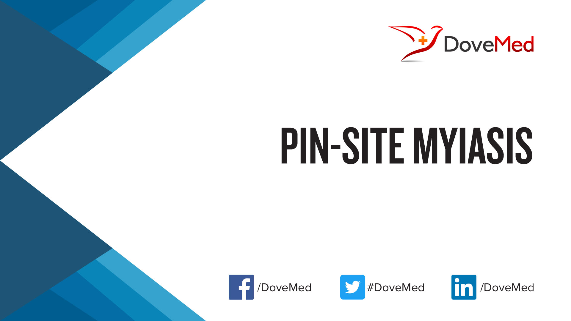 pin-site-myiasis