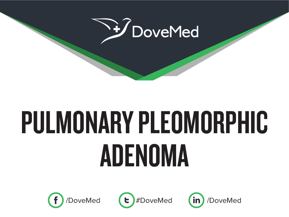 Pulmonary Pleomorphic Adenoma