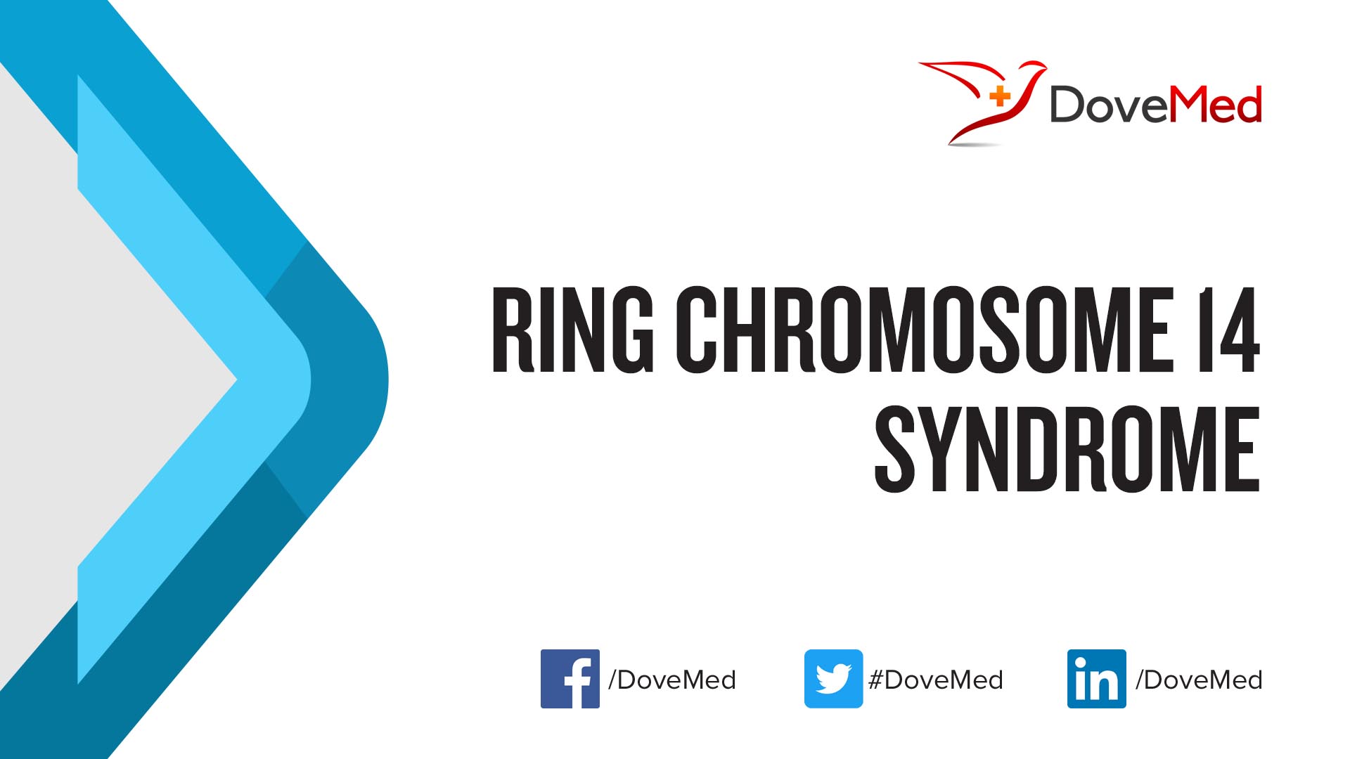 Klooster Geboorte geven Verschrikking Ring Chromosome 14 Syndrome