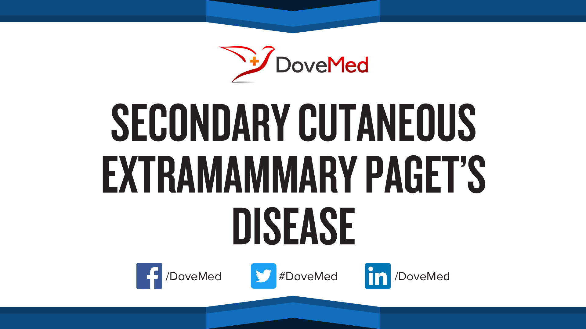 Secondary Cutaneous Extramammary Paget’s Disease