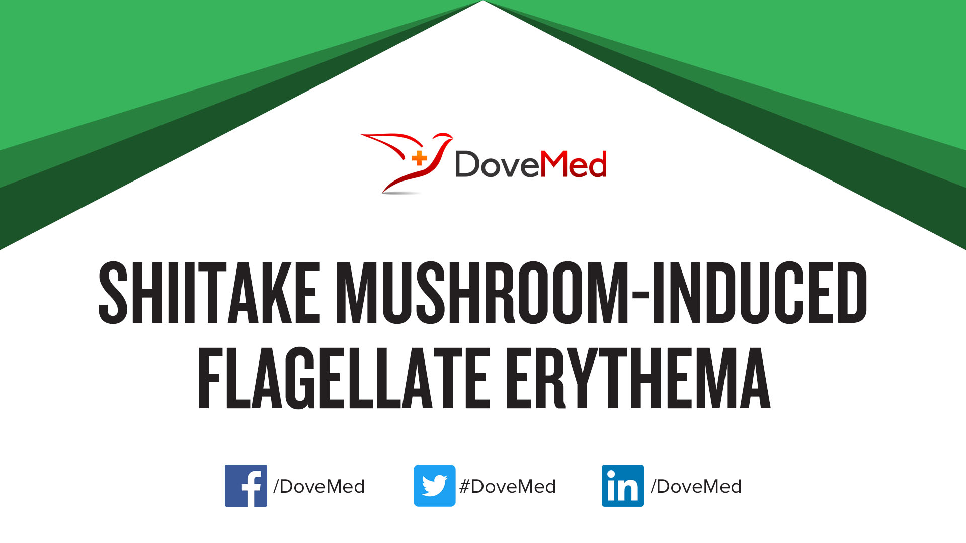 Shiitake MushroomInduced Flagellate Erythema