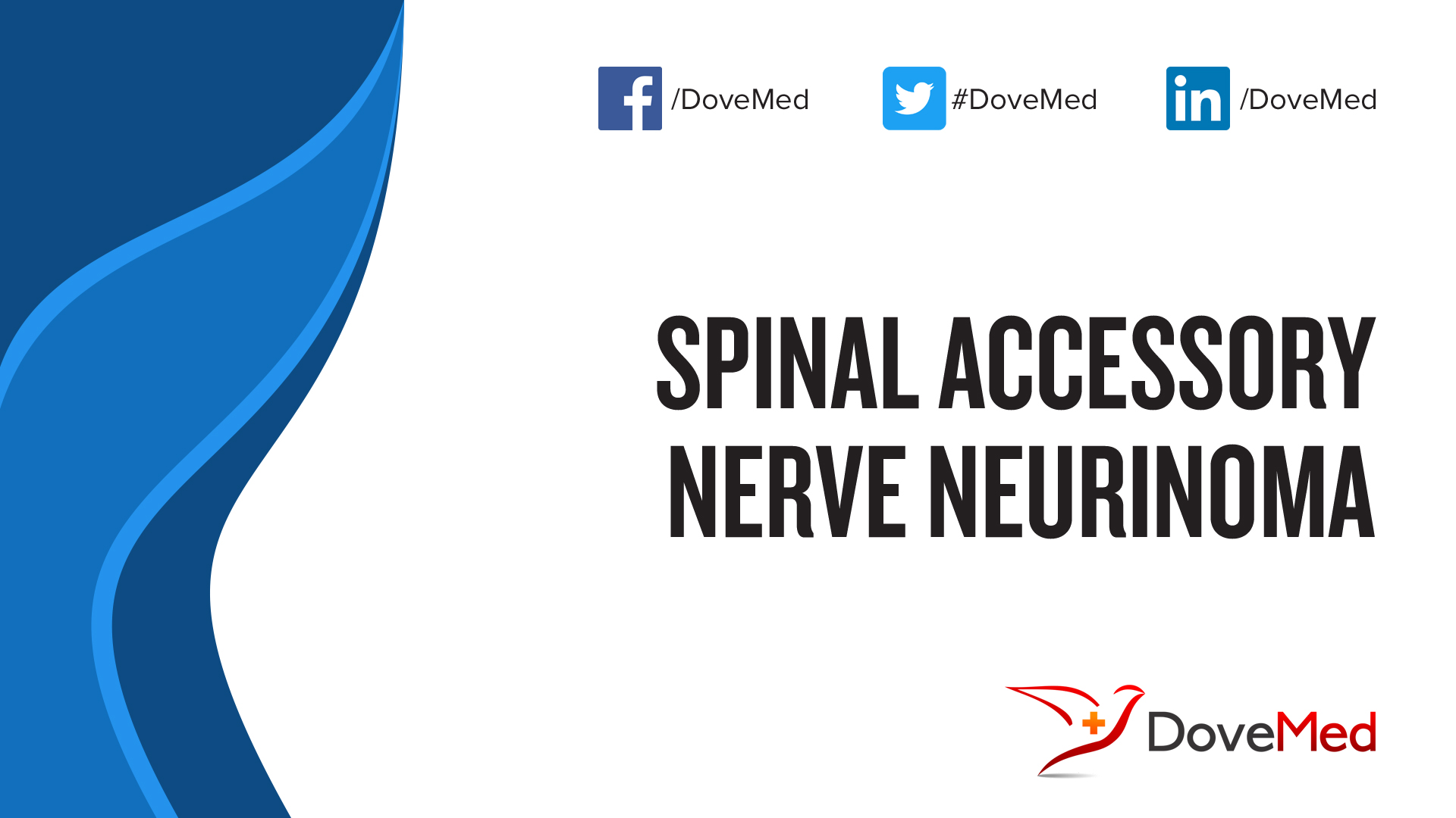 Spinal Accessory Nerve Neurinoma