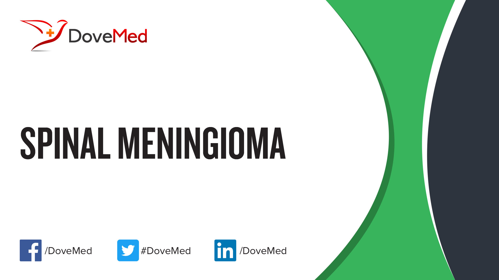 Frontiers Spinal Meningiomas From Biology To Management A