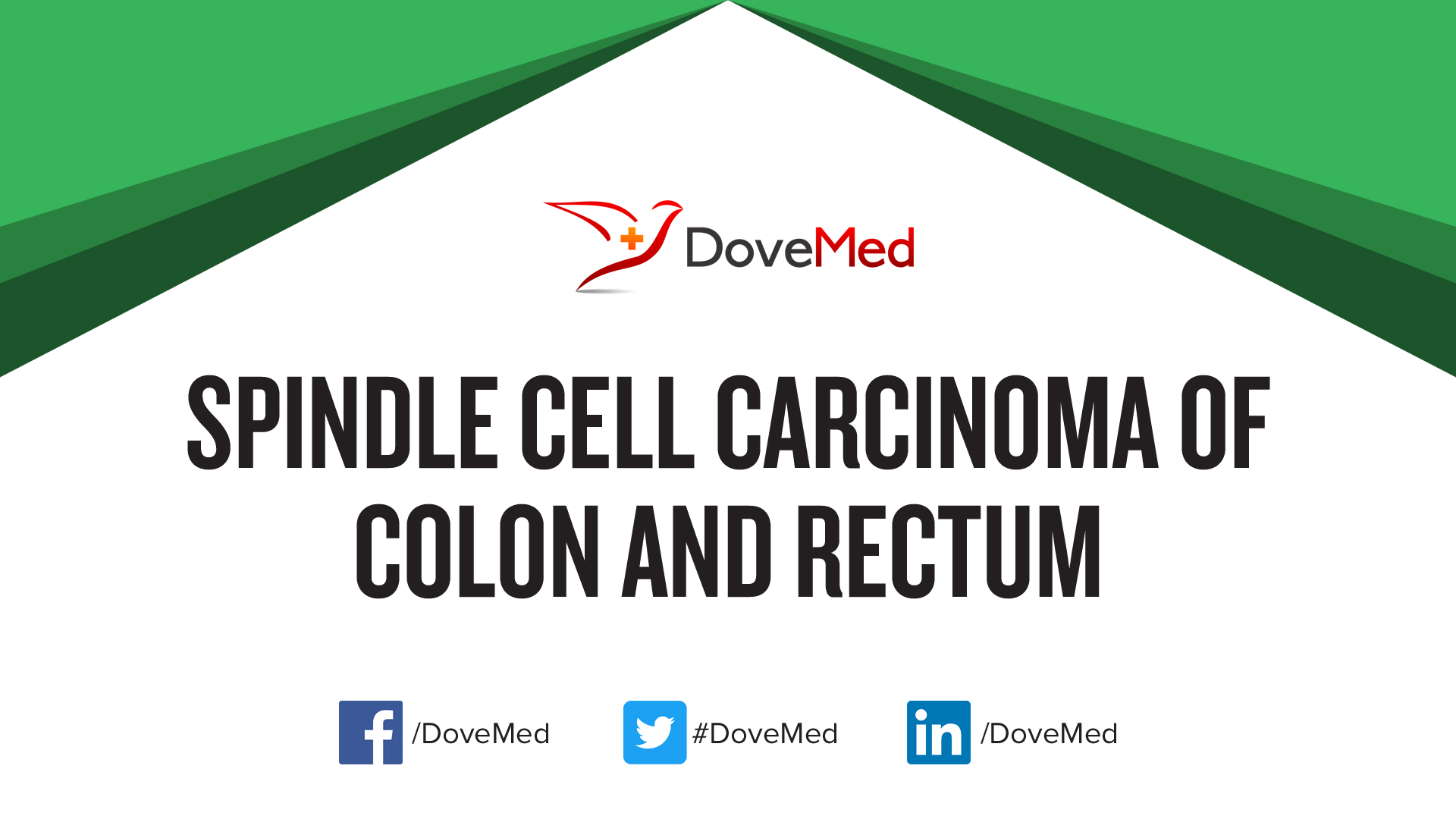Spindle Cell Carcinoma of Colon and Rectum