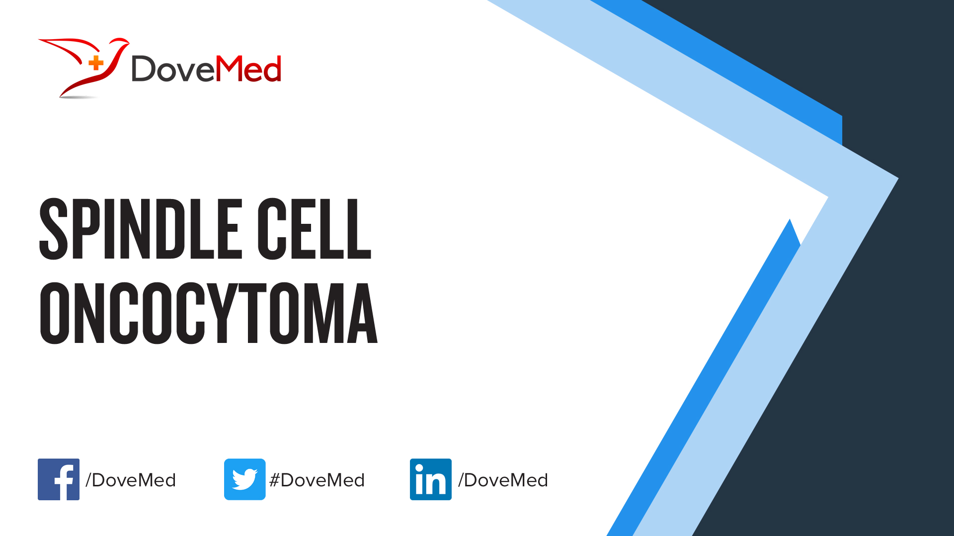Spindle Cell Oncocytoma