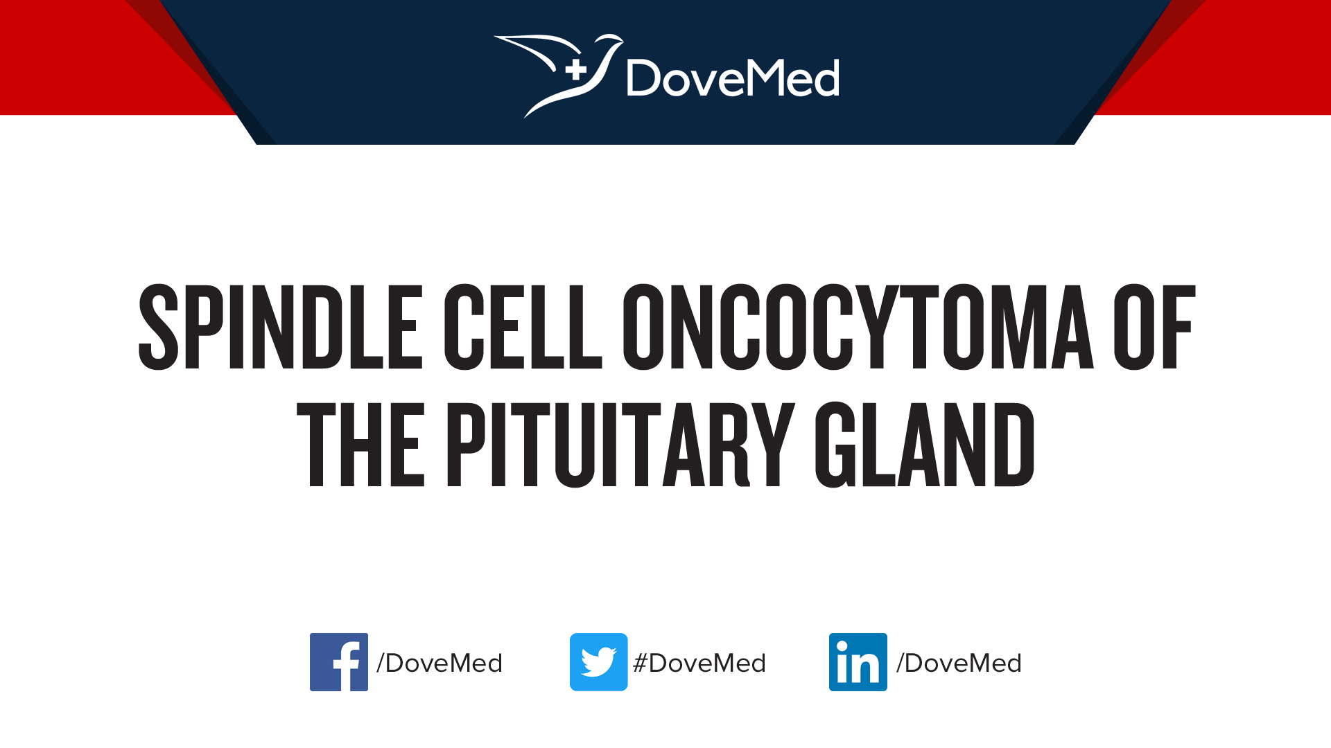 Spindle Cell Oncocytoma of the Pituitary Gland