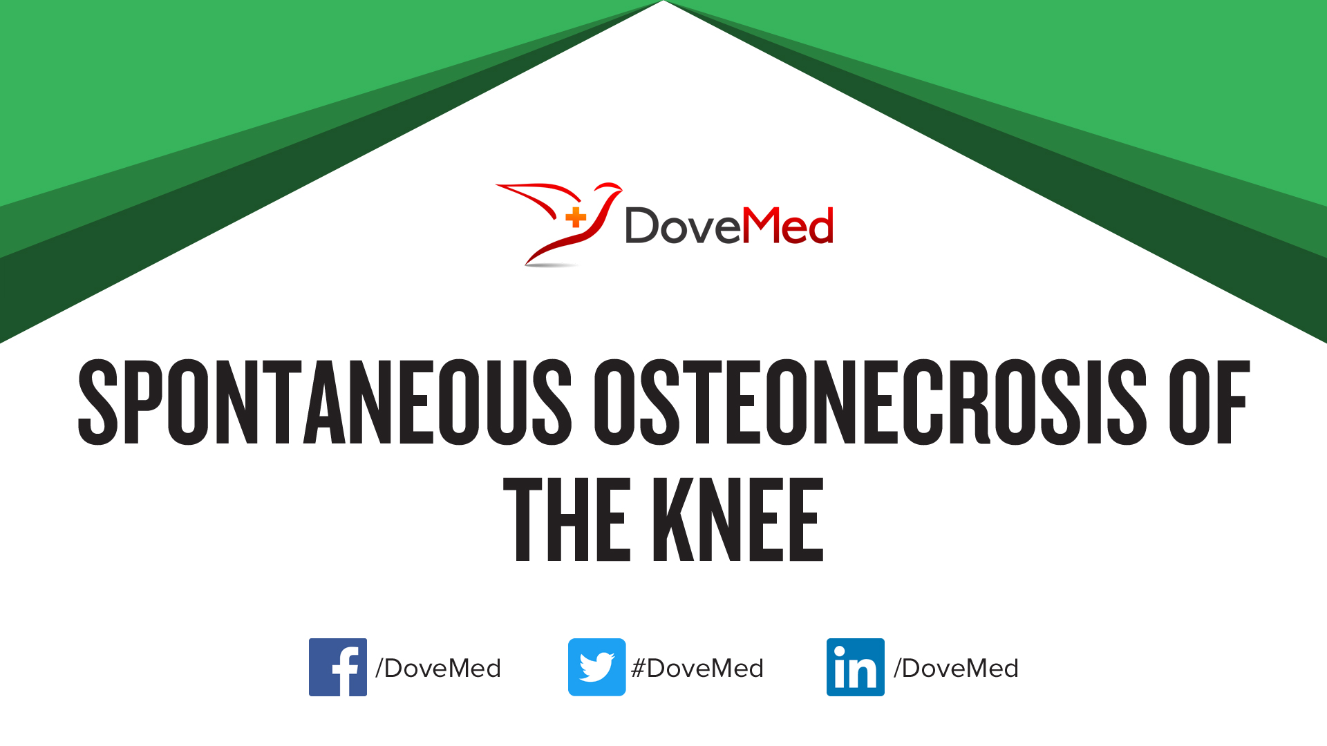 Spontaneous Osteonecrosis of the Knee