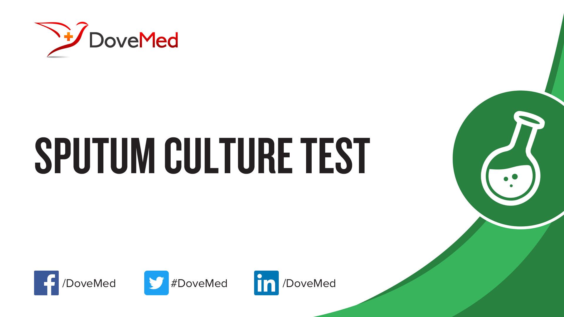 Pus Culture Test Results