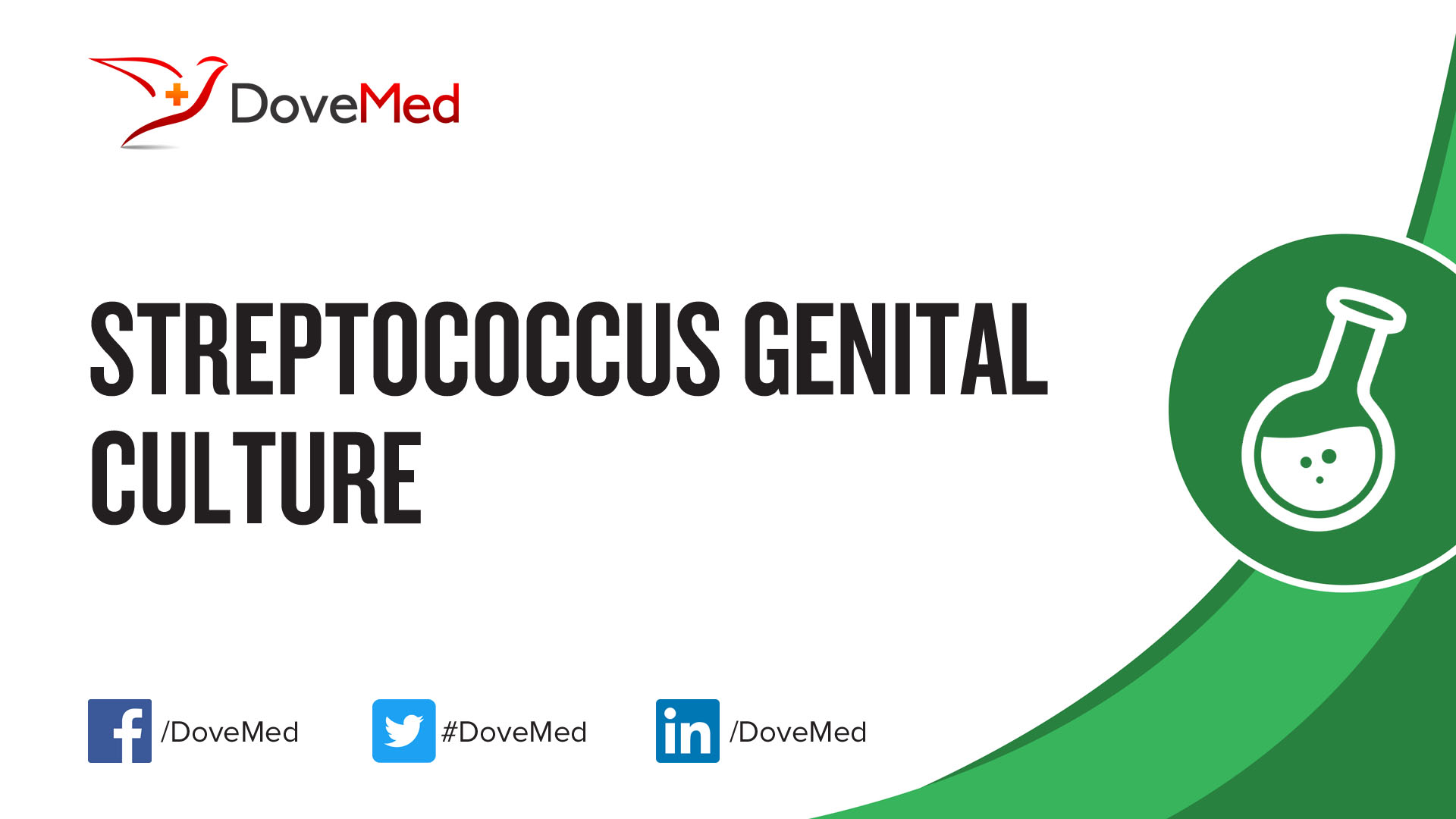 Streptococcus Genital Culture