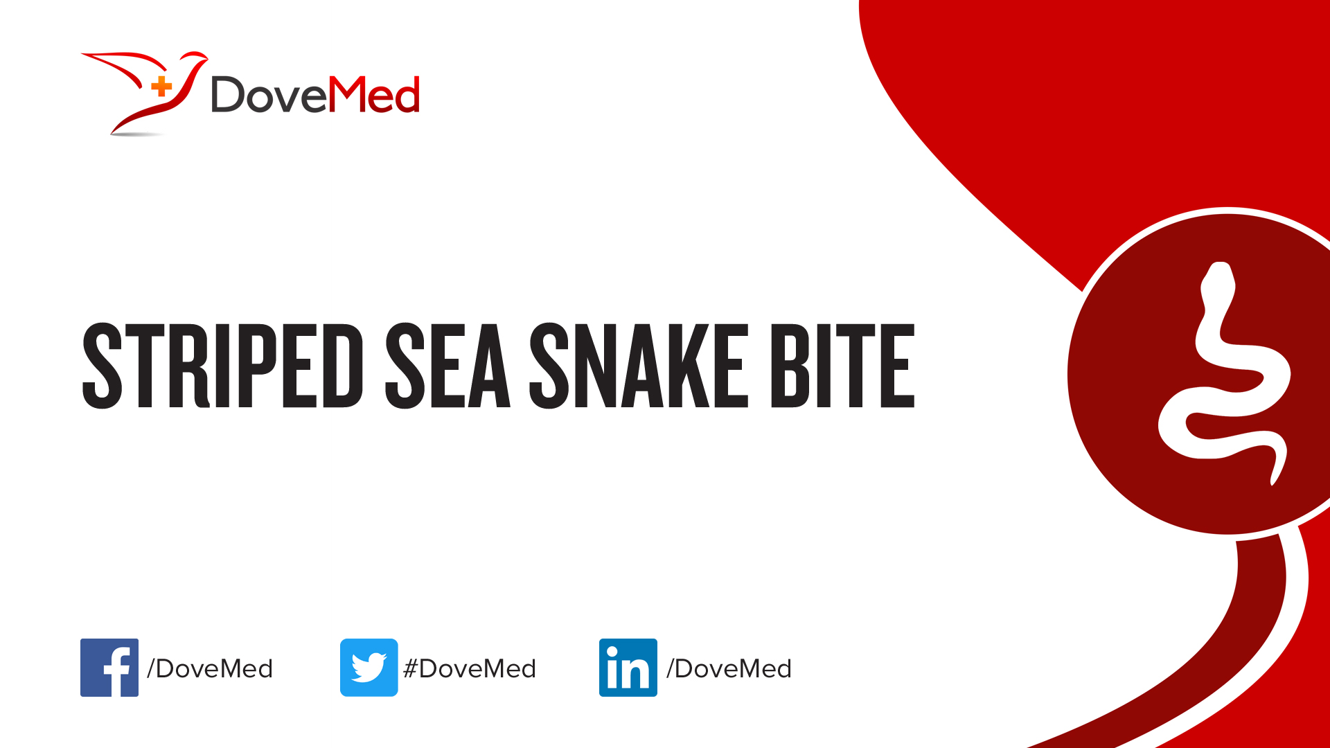 Striped Sea Snake Bite