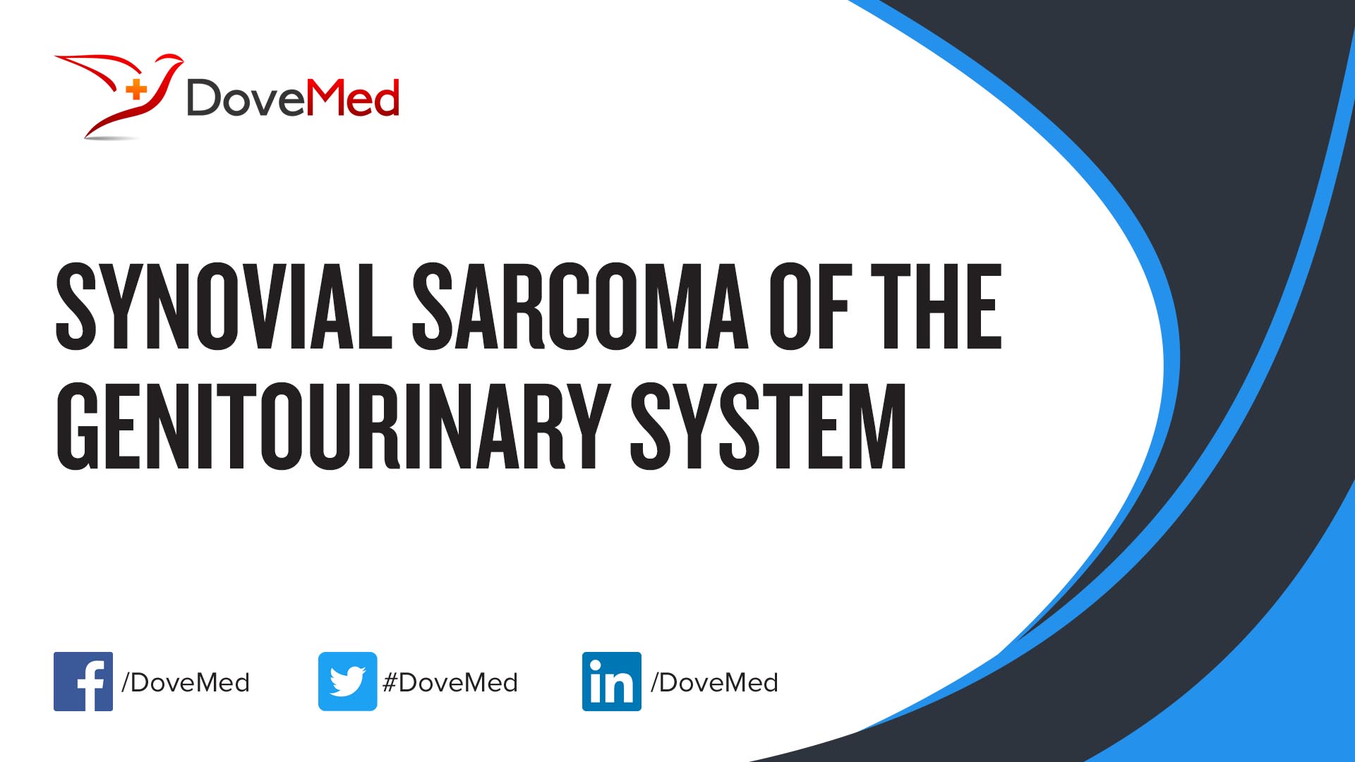 Synovial Sarcoma of the Genitourinary System