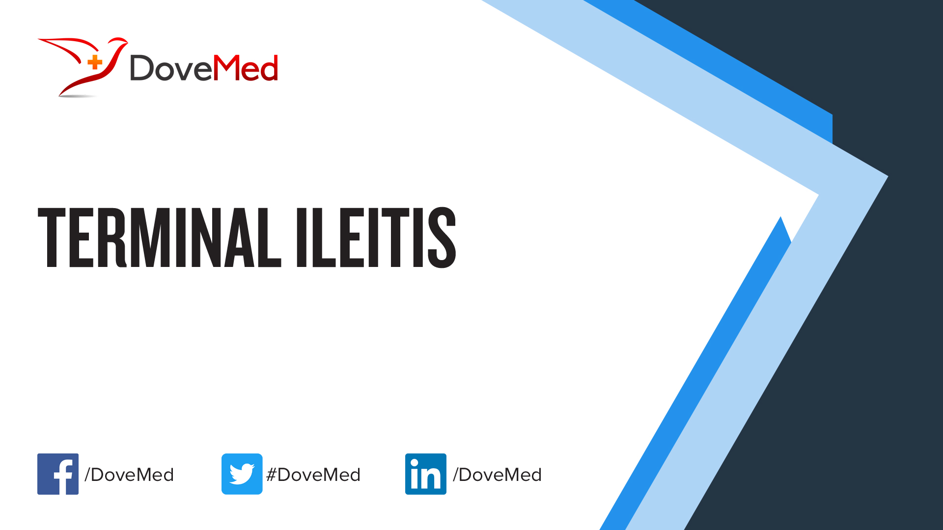 Is Terminal Ileitis Curable