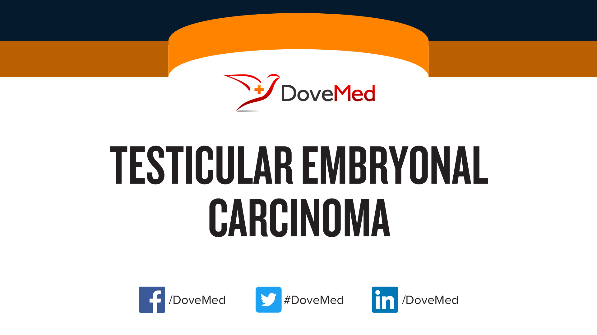Testicular Embryonal Carcinoma