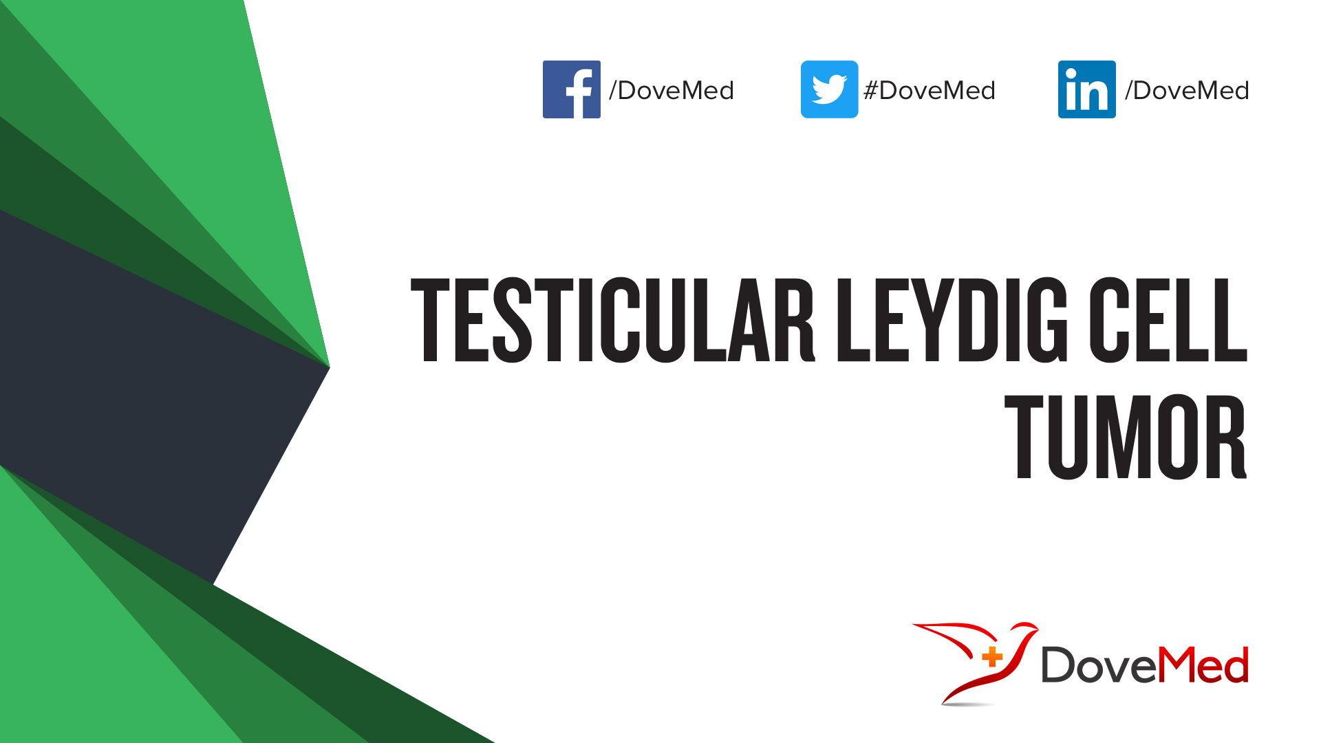 Testicular Leydig Cell Tumor