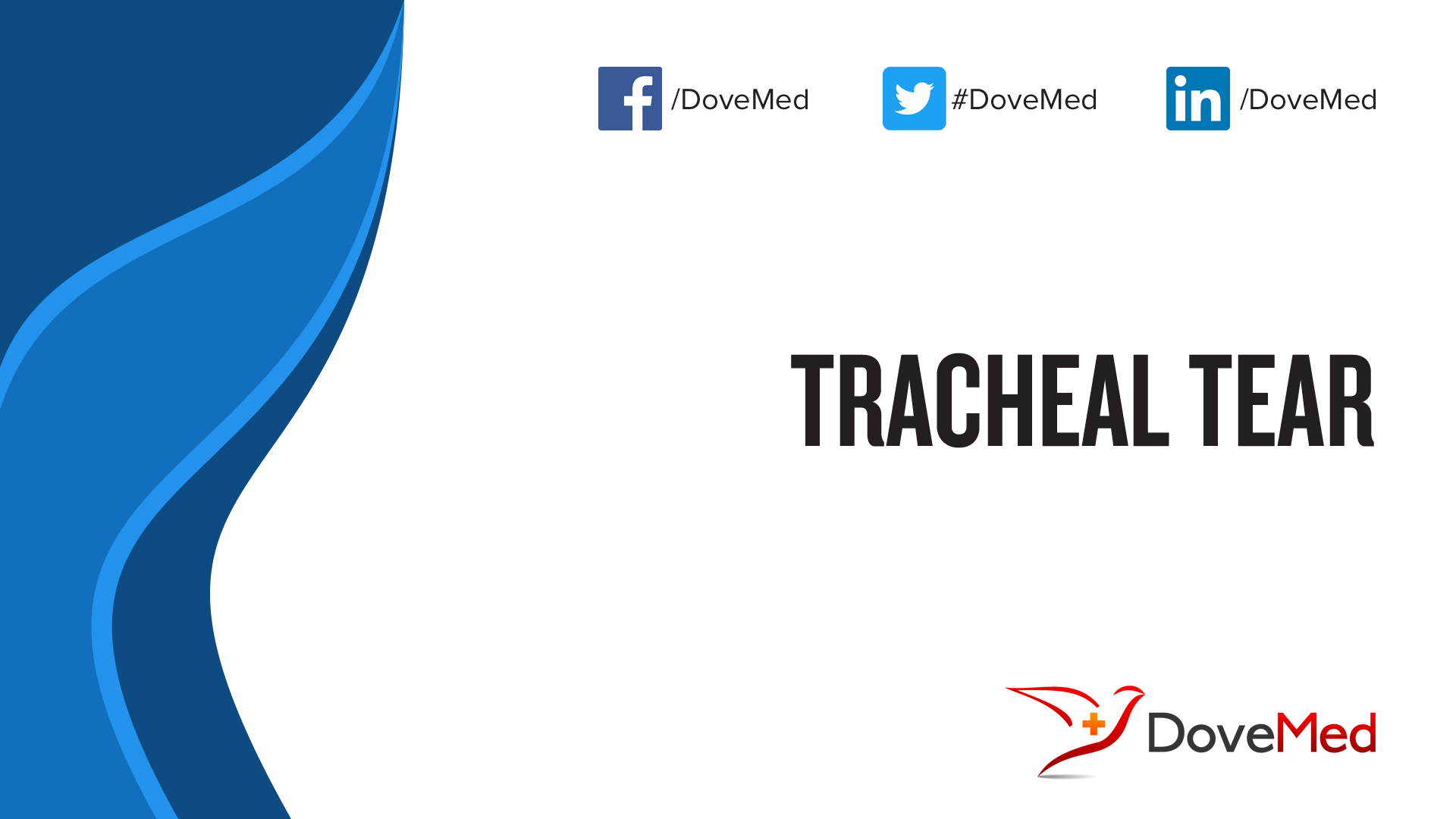 tracheal-tear