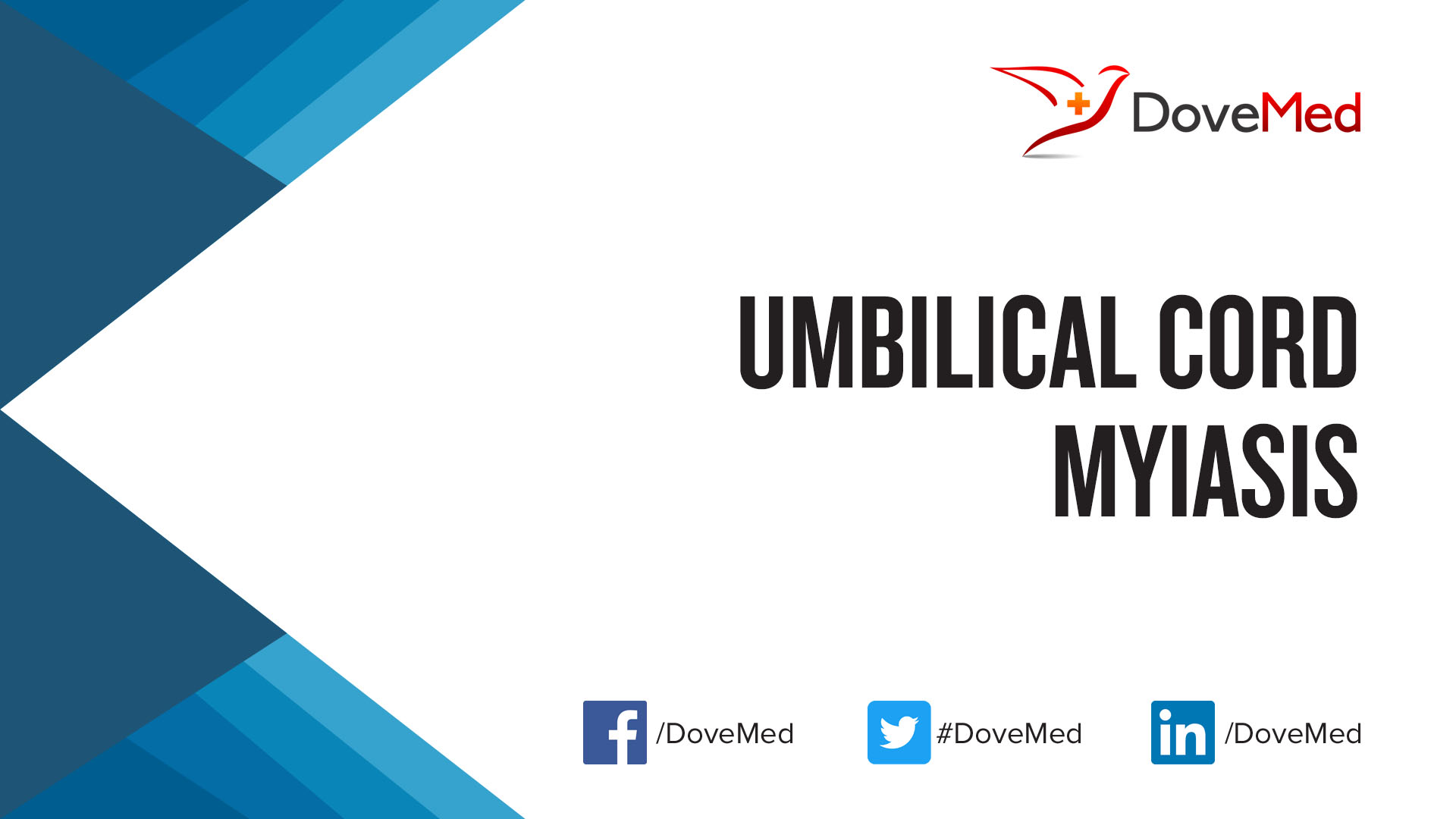 umbilical-cord-myiasis