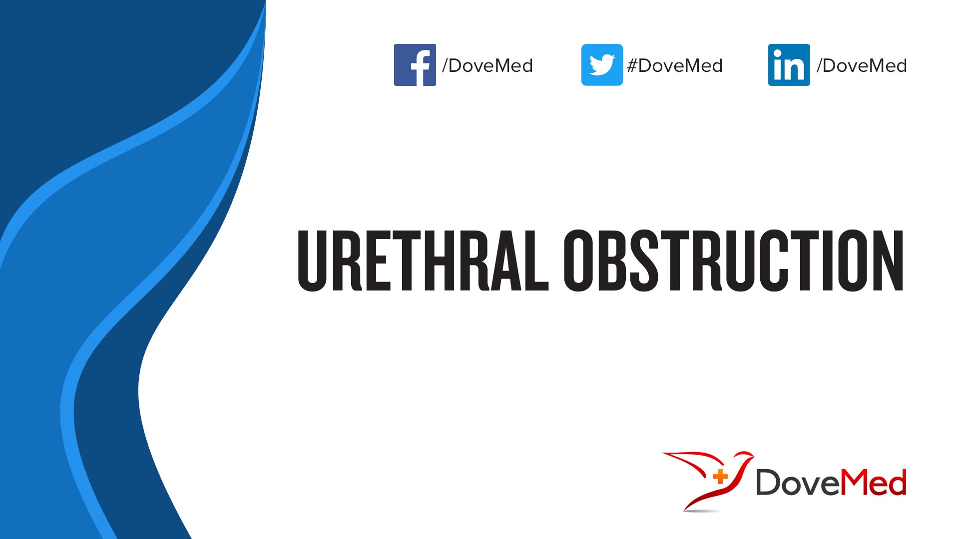 Urethral Obstruction