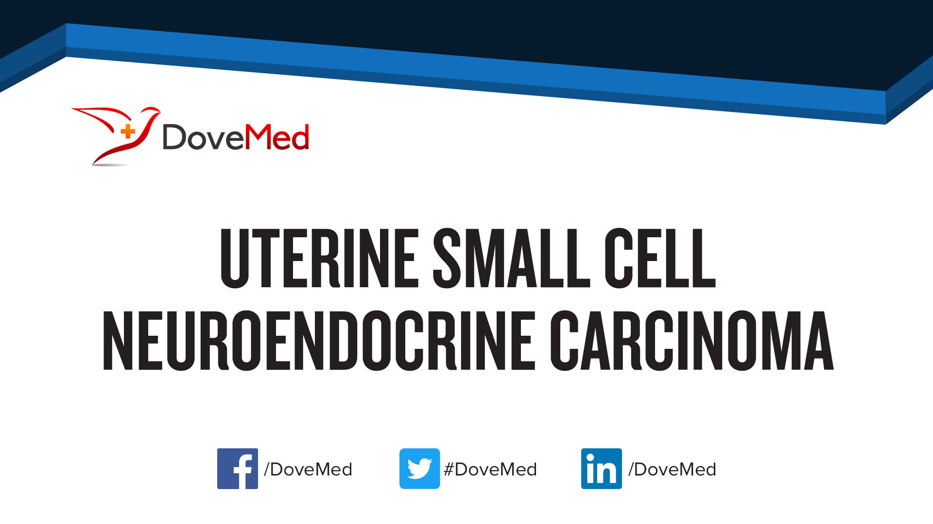 Uterine Small Cell Neuroendocrine Carcinoma