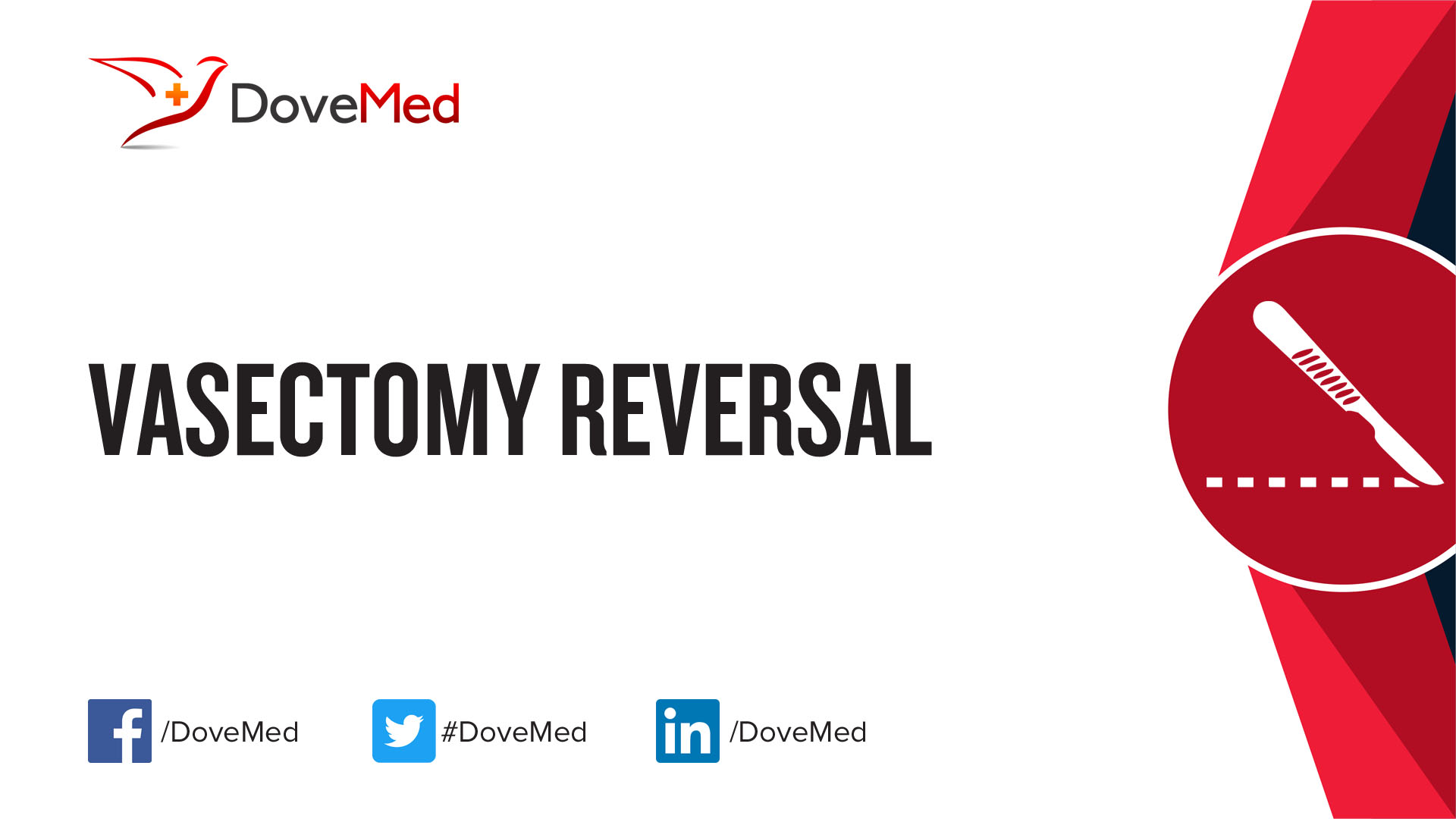 Vasectomy Reversal Procedure Recovery And Risks 