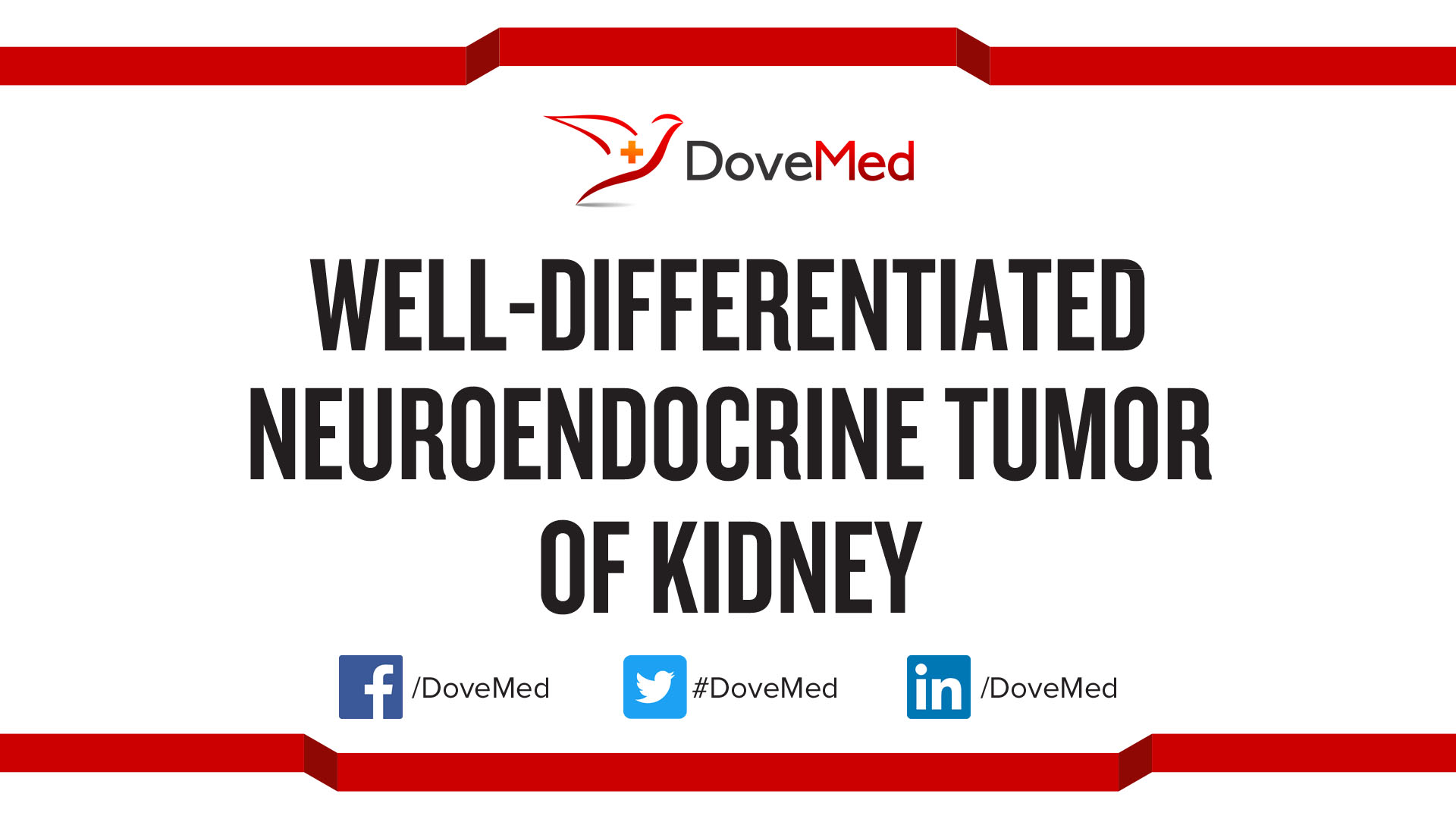 WellDifferentiated Neuroendocrine Tumor of Kidney