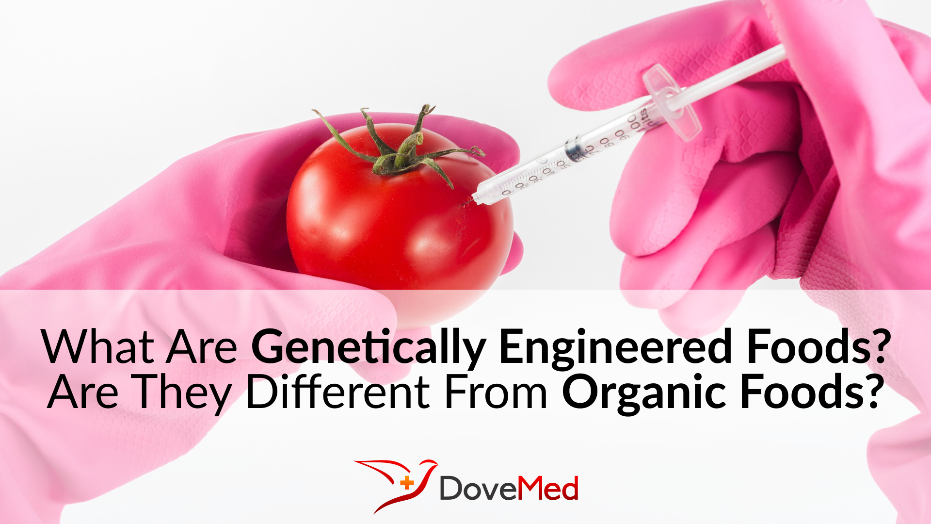 What Are Genetically Engineered Foods Are They Different From Organic