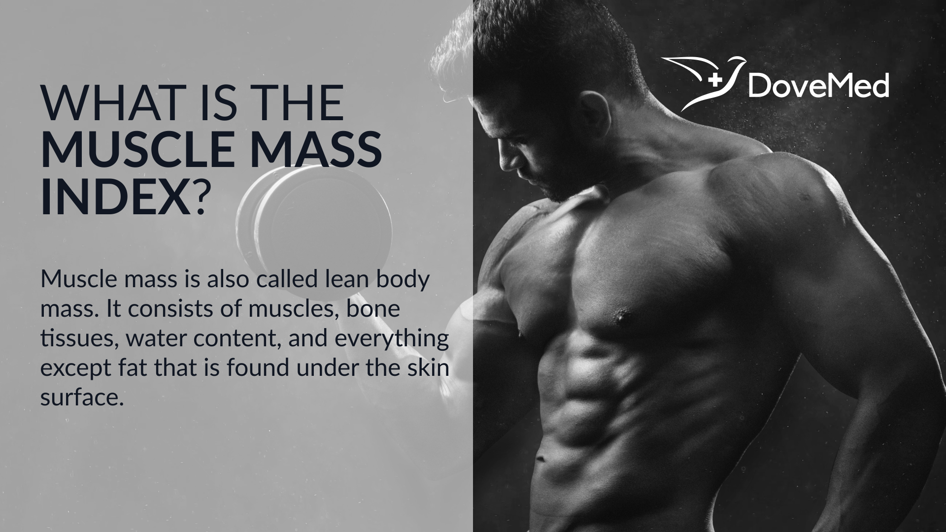 What Is The Muscle Mass Index 