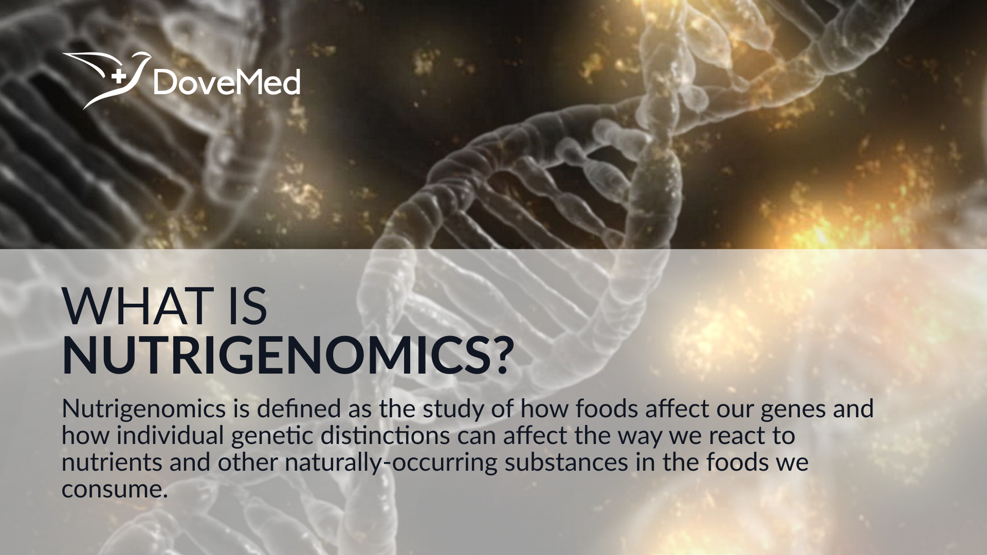 What Is Nutrigenomics?