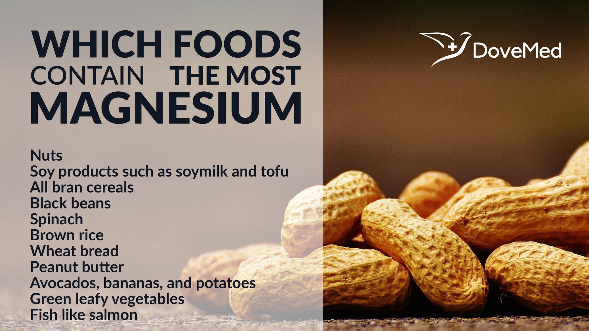 which-foods-contain-the-most-magnesium