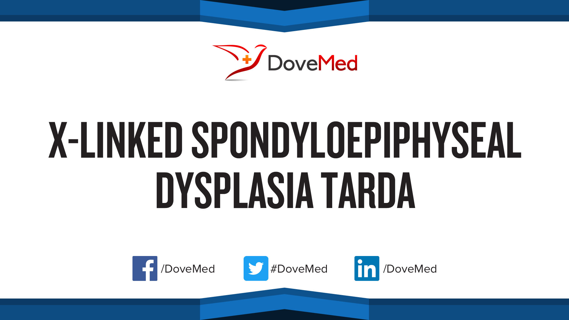 spondyloepiphyseal dysplasias (sed)